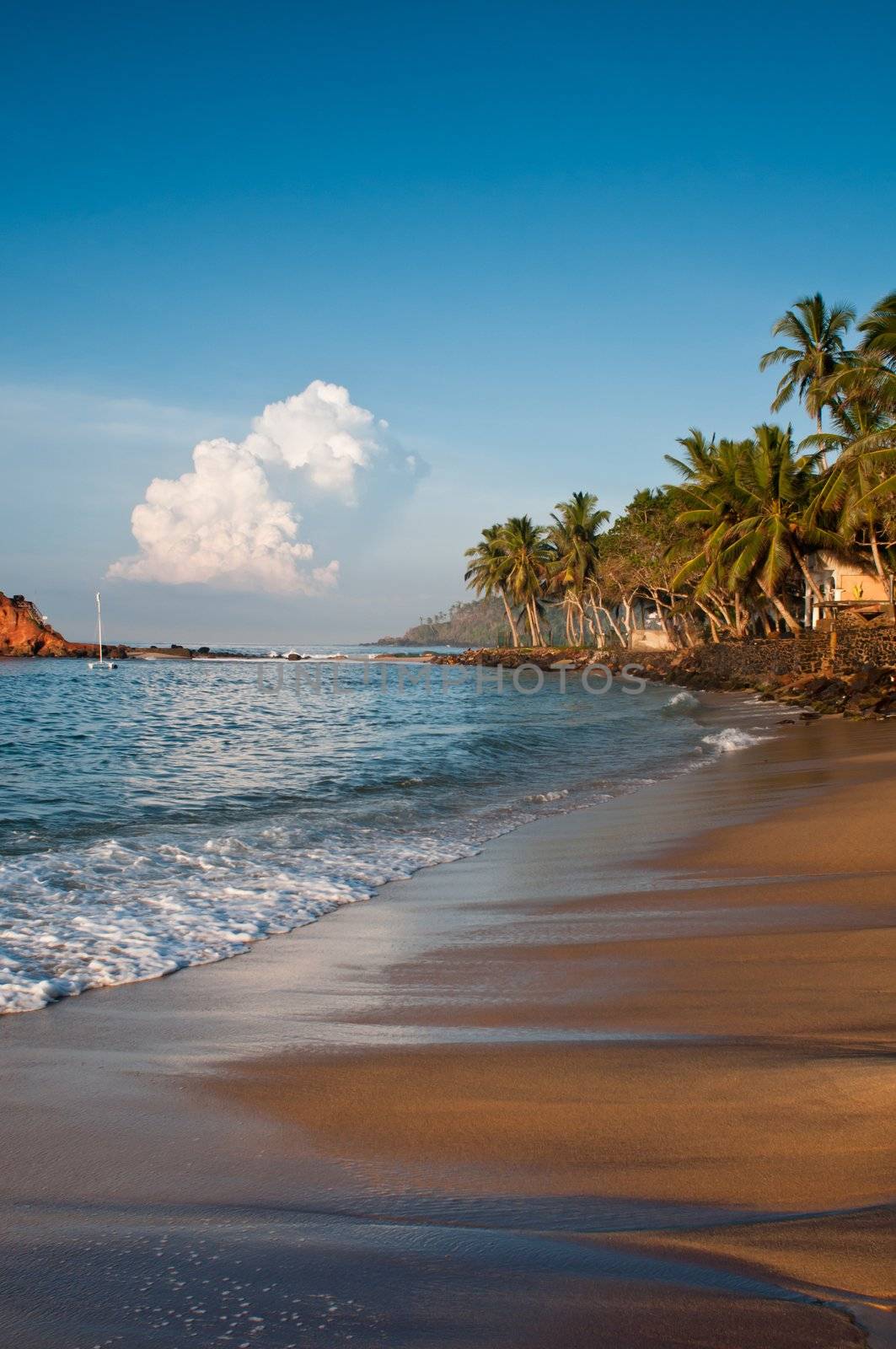 Romantic tropical beach by iryna_rasko