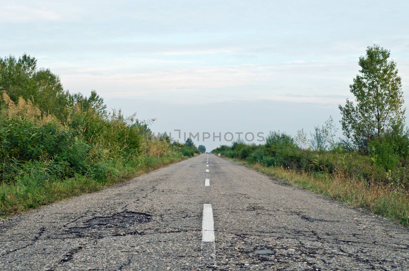 Old country asphalt road, horizontal shot