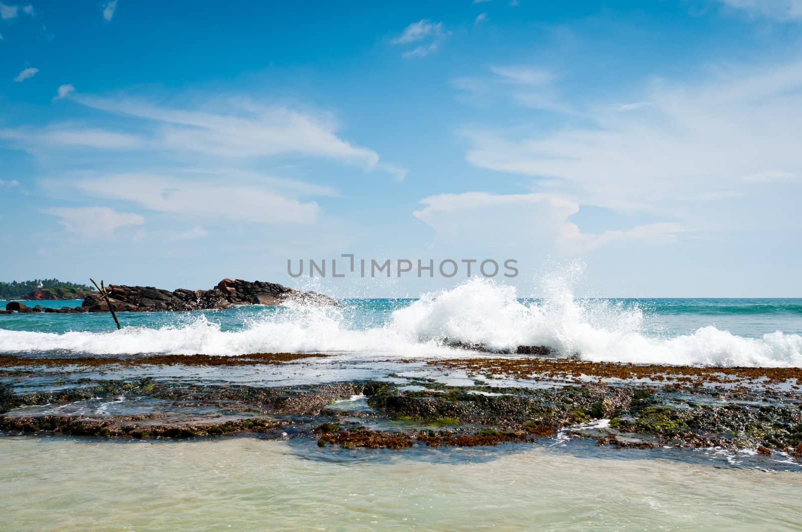 Beautiful stones and coral in the waves by iryna_rasko