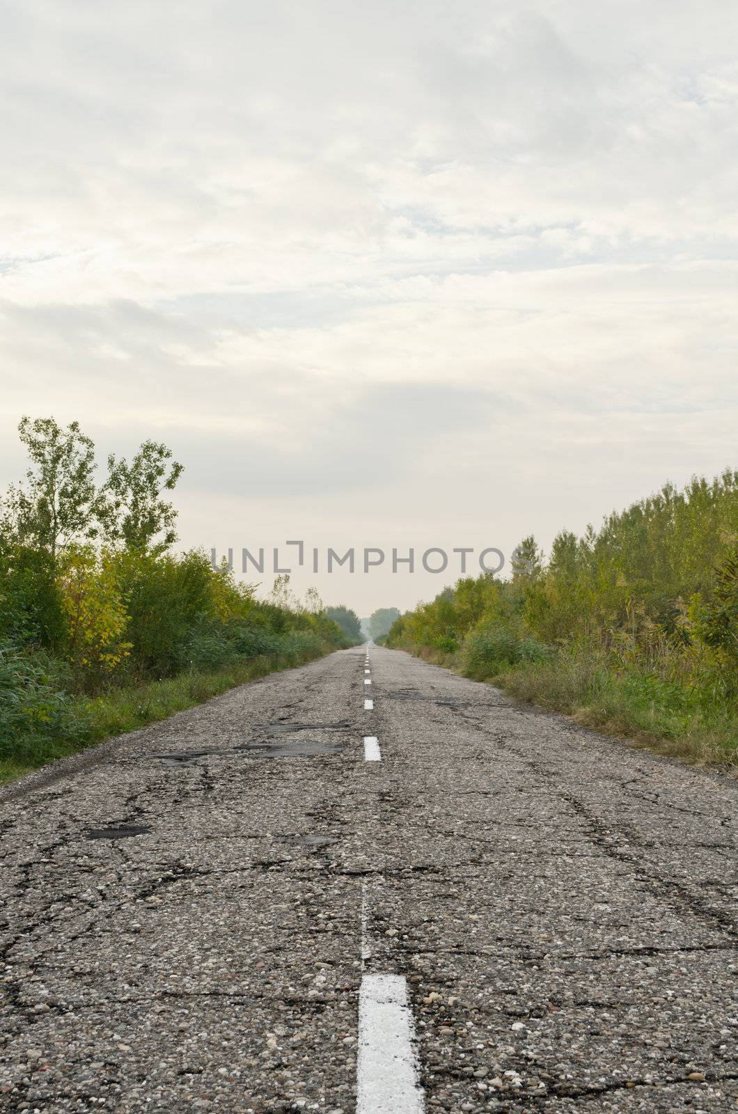 Old country asphalt road, vertical shot