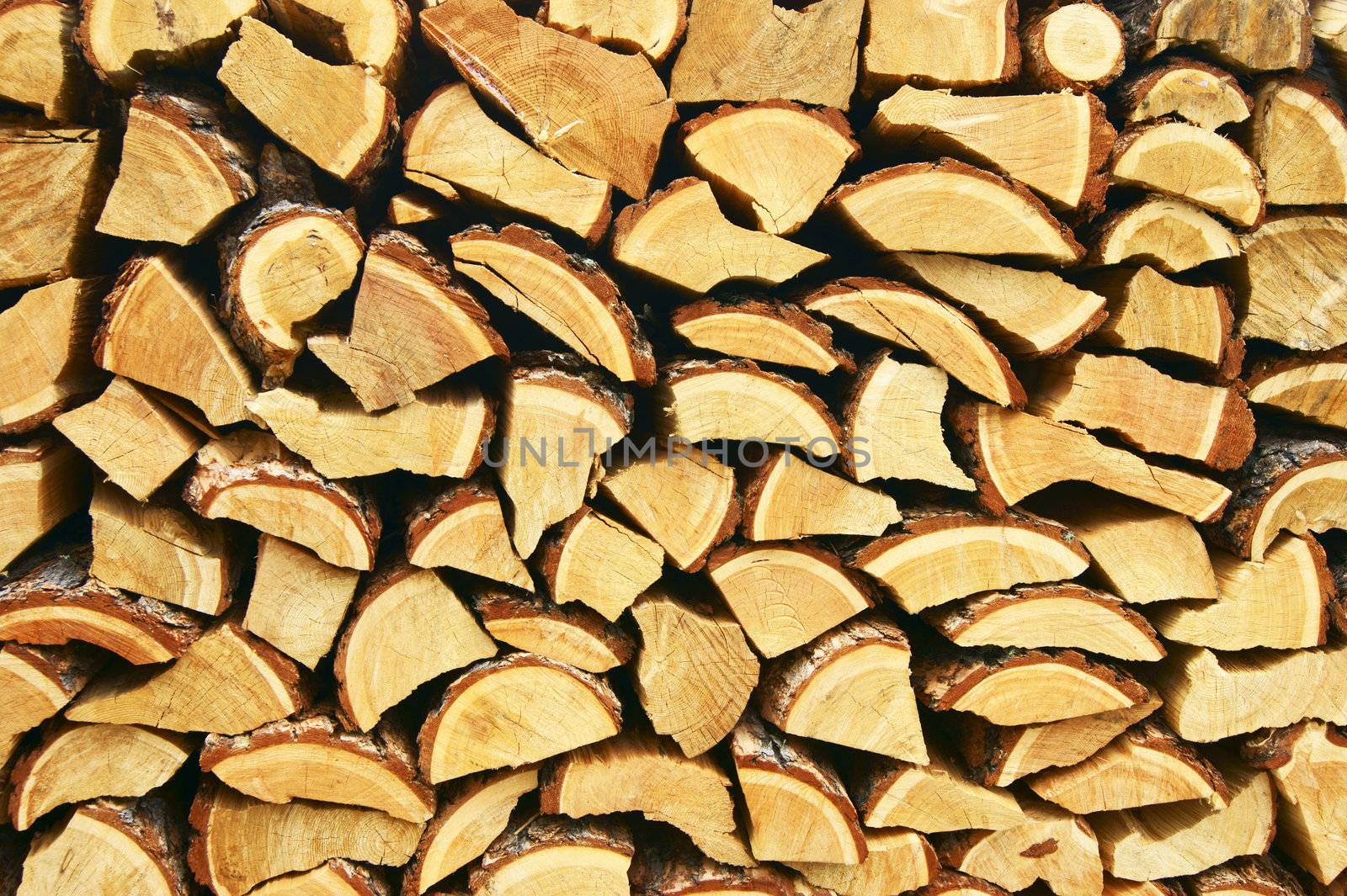 Firewood from larch stored up on winter