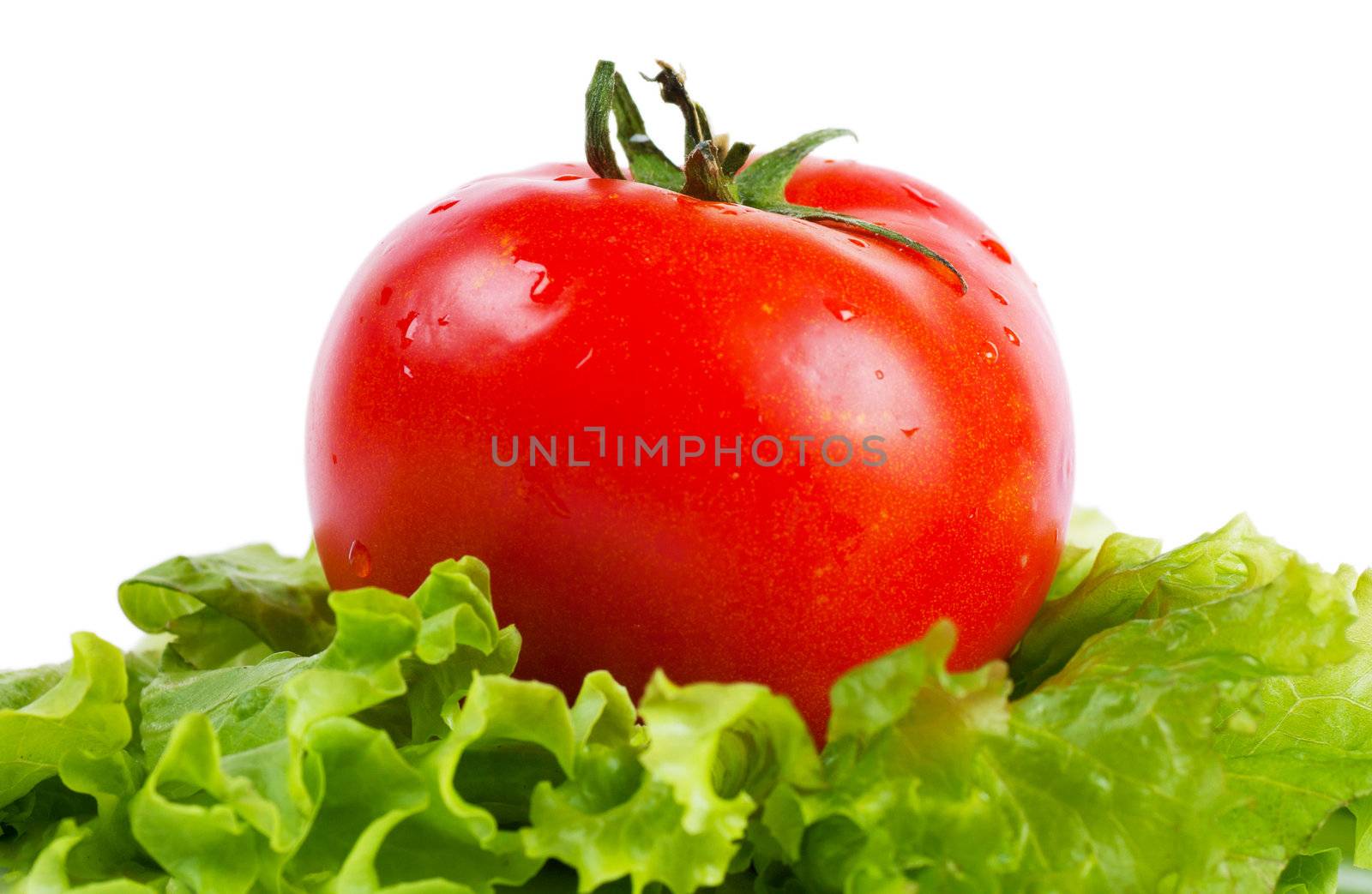 Closeup view of tomato on a lettuce leaf