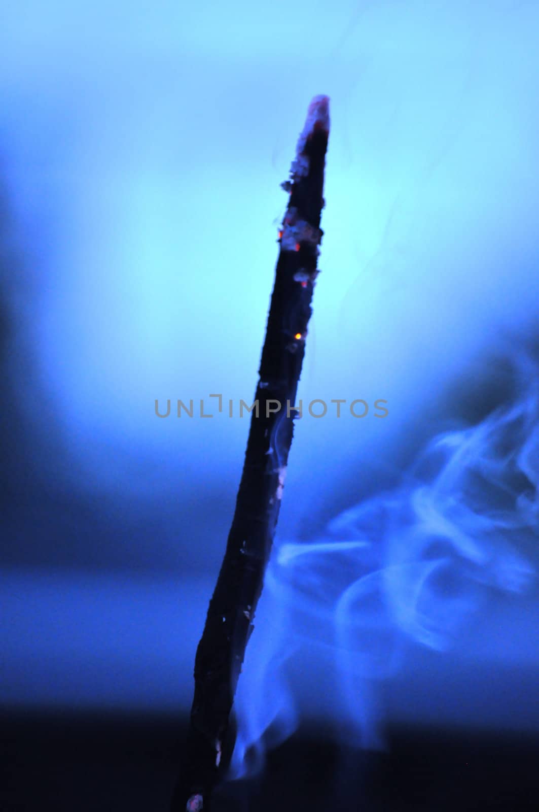 Charred Stick by RefocusPhoto