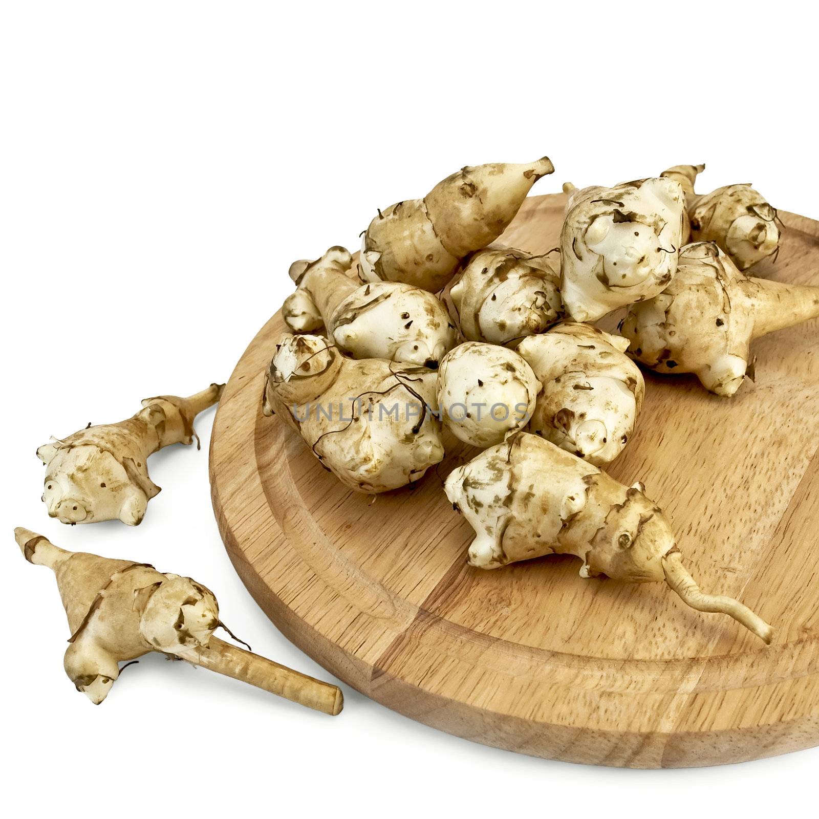 Jerusalem artichoke in a circular wooden board, two tuber on the desk isolated on white background