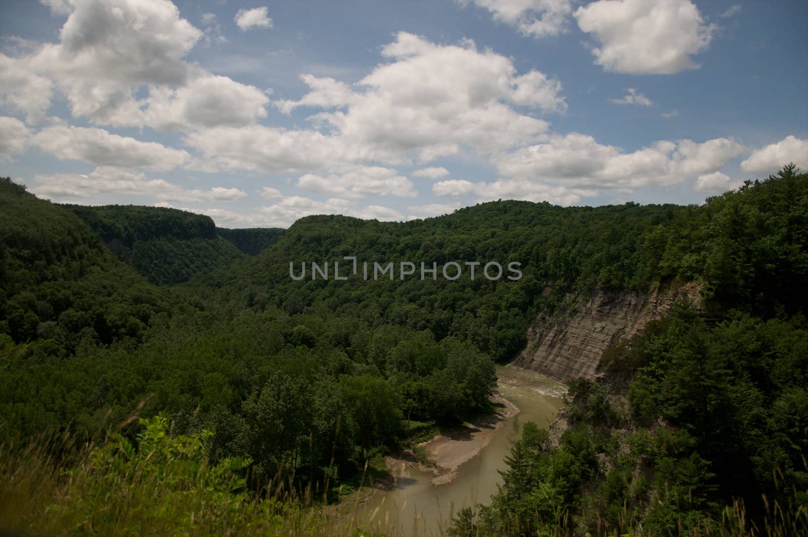Letchworth State Park in western New York boasts one of the deepest canyons in eastern North America.







Letchworth State Park in Western New York features one of the deepest canyons in the Eastern United States.