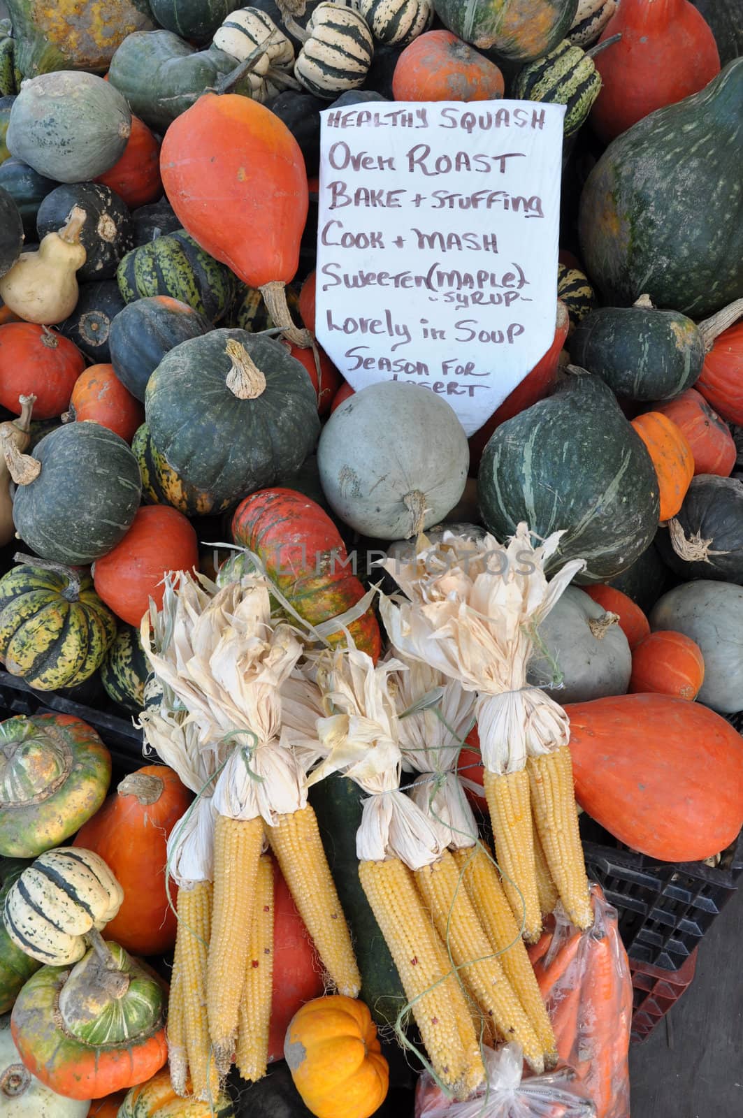 Gourds and Maize are traditional symbols of the Thanksgiving holiday. These vegetables were photographed at the Byward Market in Ottawa, Ontario, Canada.






Gourds and Maize are traditional symbols of Thanksgiving