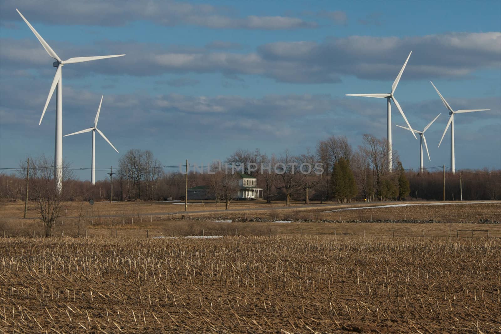 These windmills are located near the St. Lawrence Seaway in upstate New York.