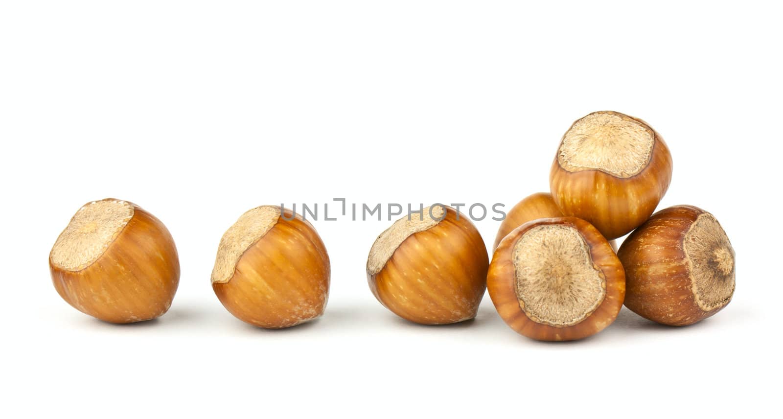 Hazelnuts Composition isolated on white background