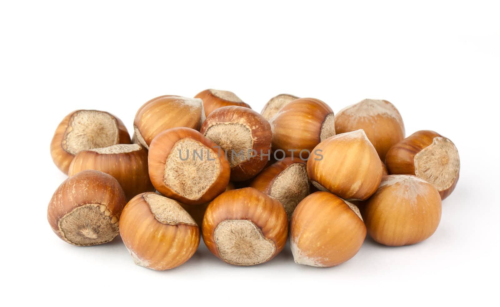 Hazelnuts Composition isolated on white background