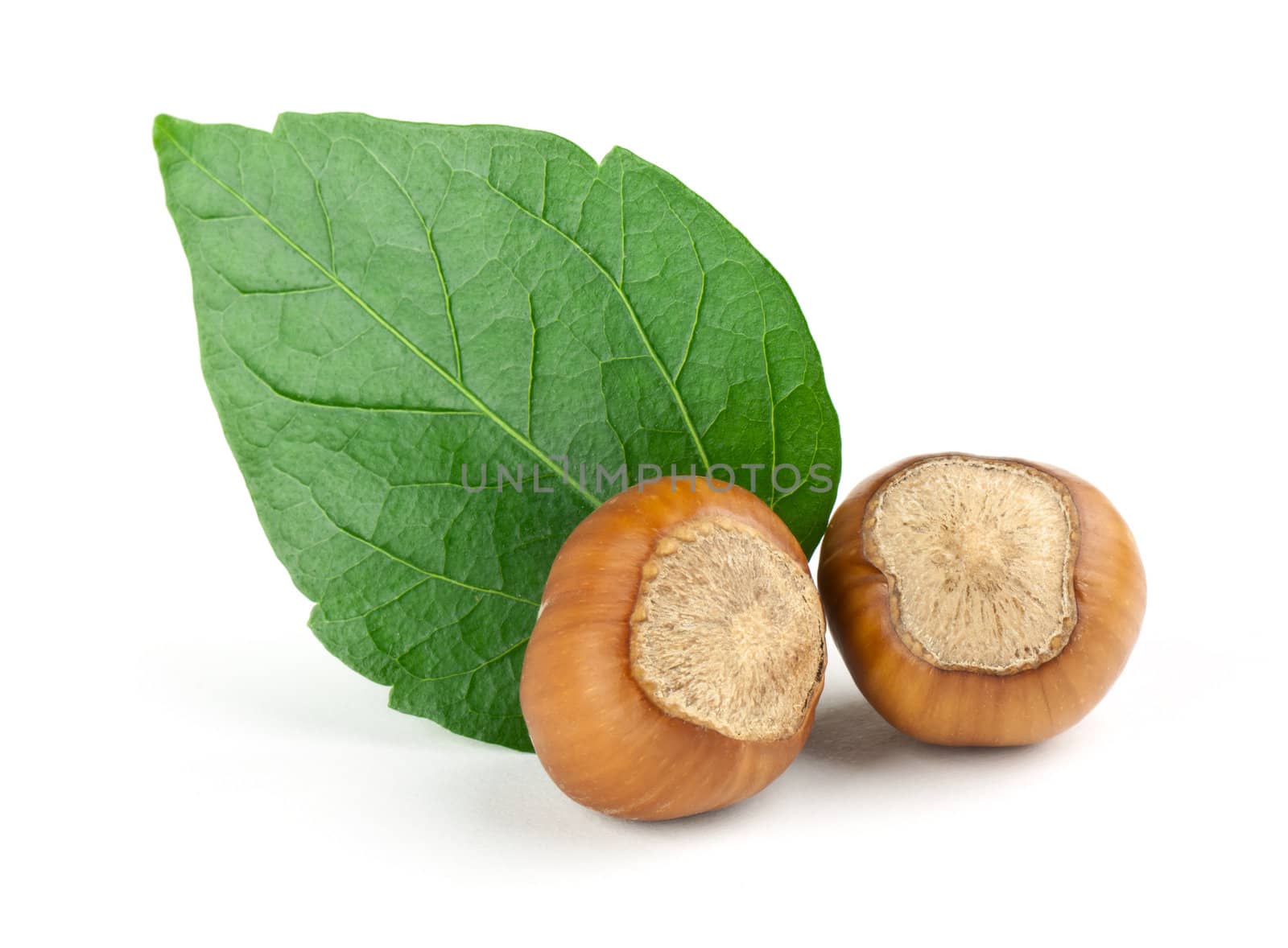 Hazelnuts Composition isolated on white background