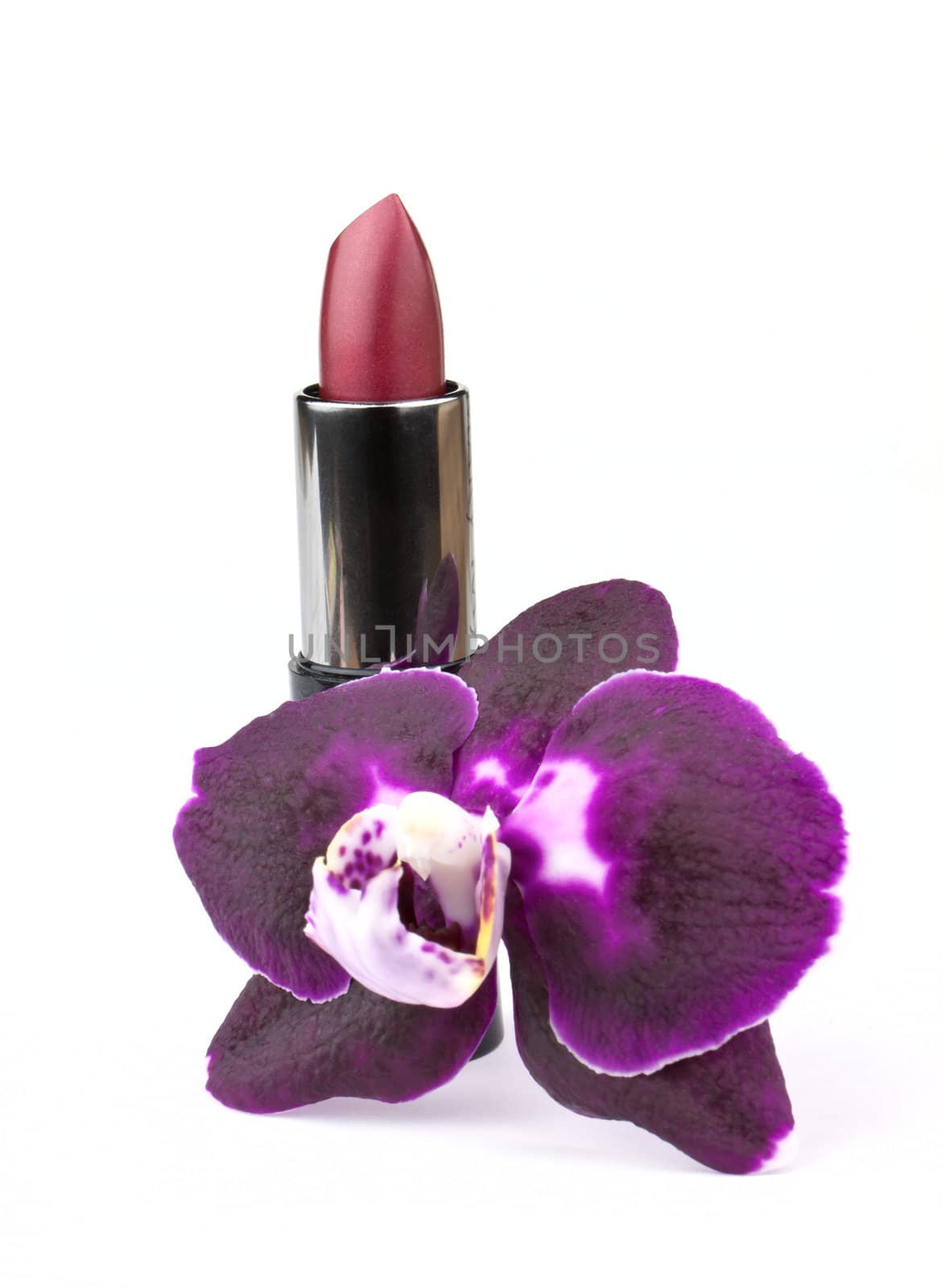 Orhid flower and lipstick by vtorous