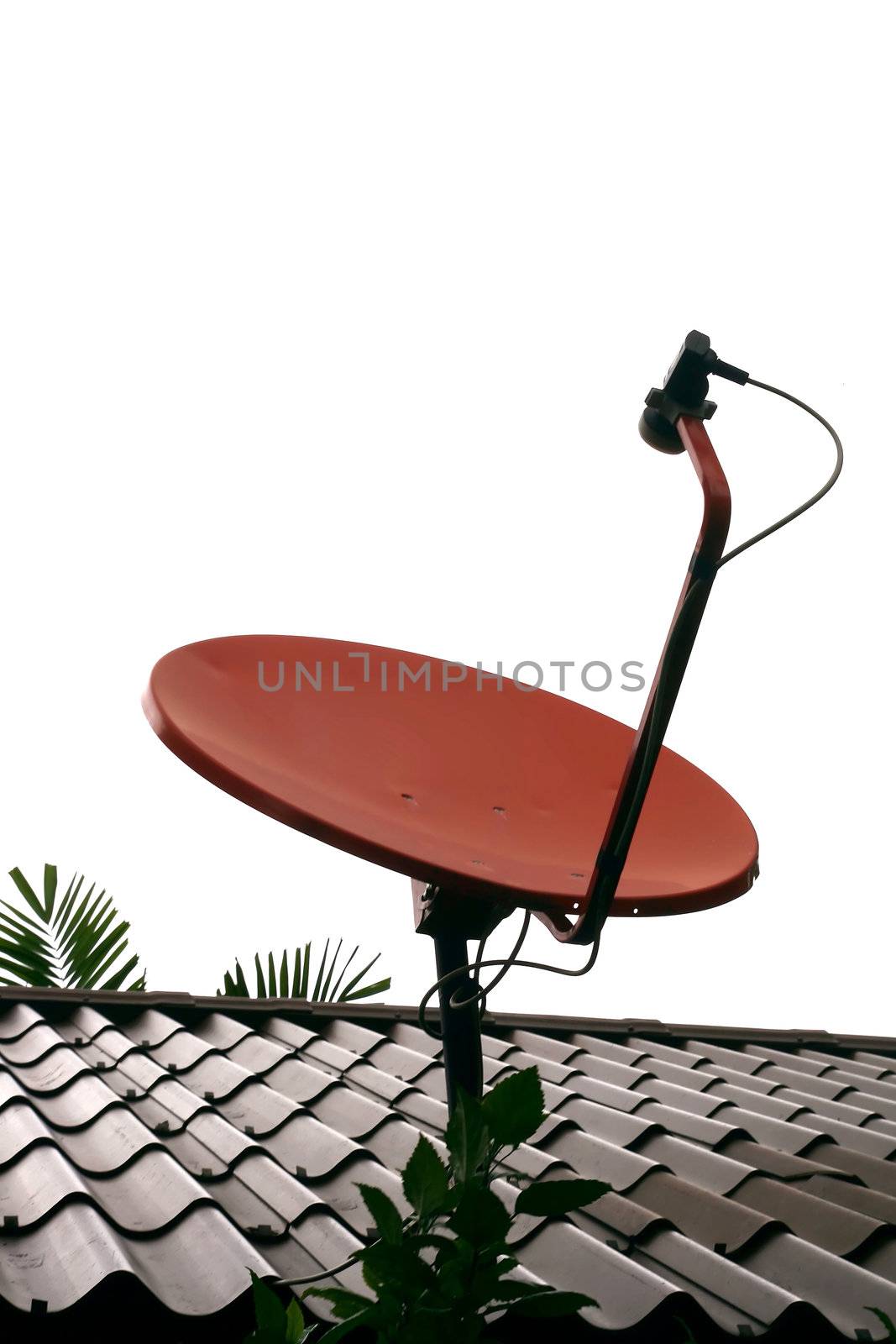 Red Satellite Dish isolated on White sky in Thailand