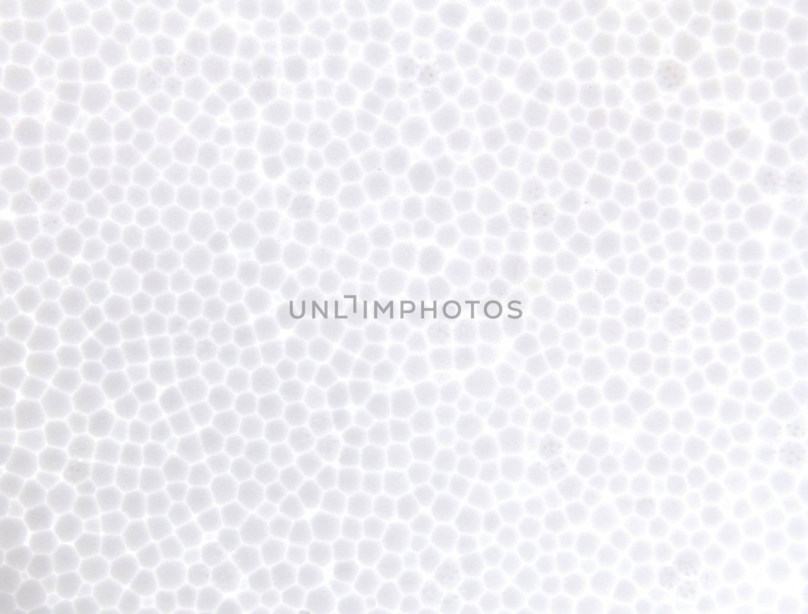 seamless Polystyrene foam texture background