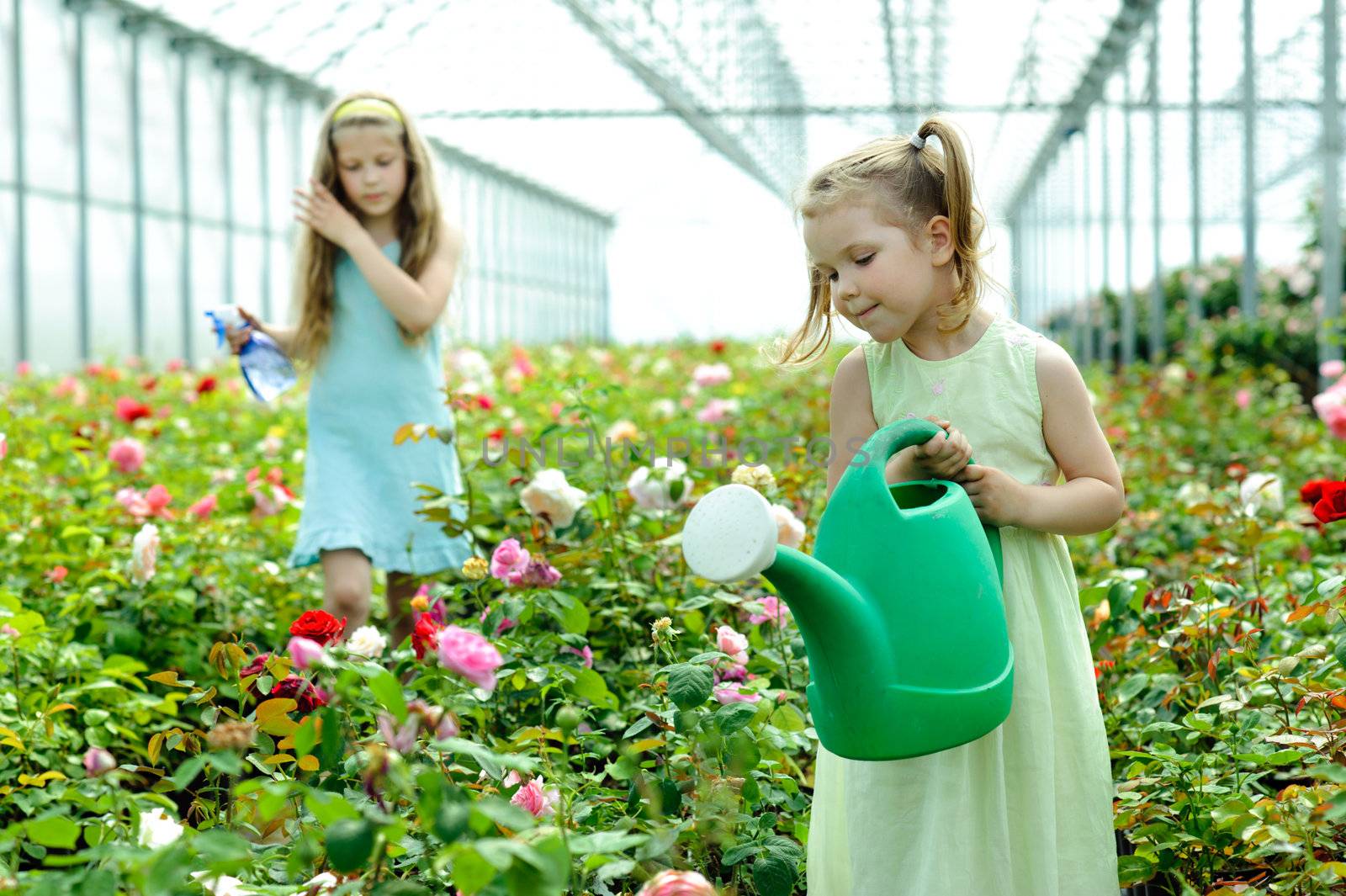 An image of two girls in a greenhouse