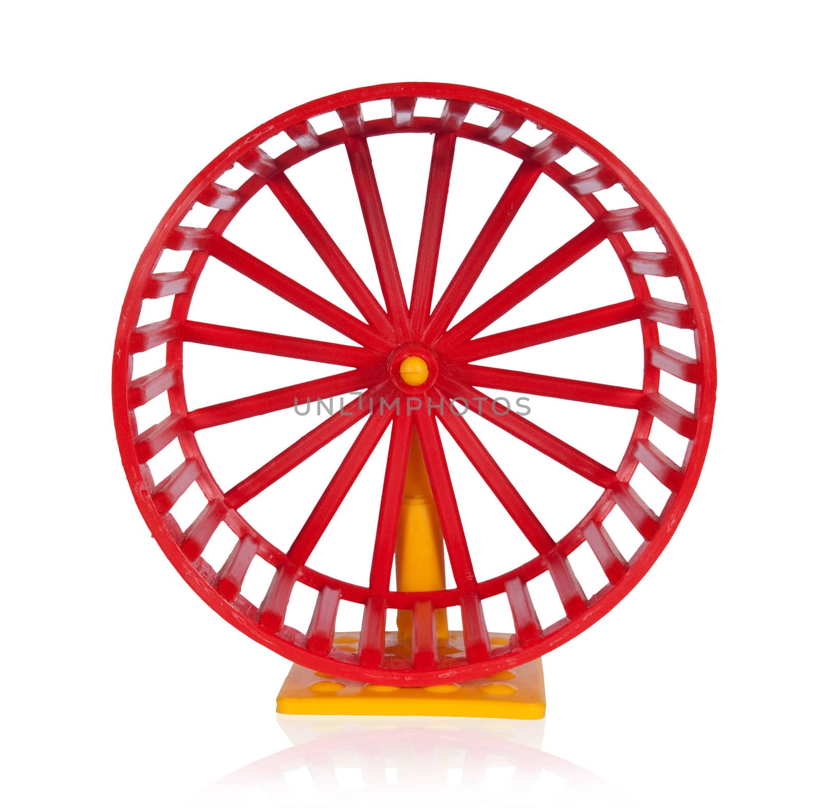 Wheel for rodents isolated on white with clipping path