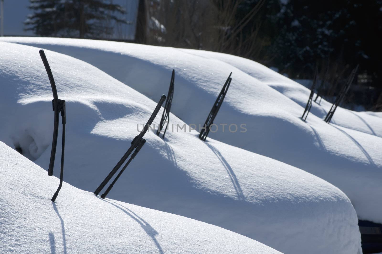 Cars covered with Snow after a strong Snowfall