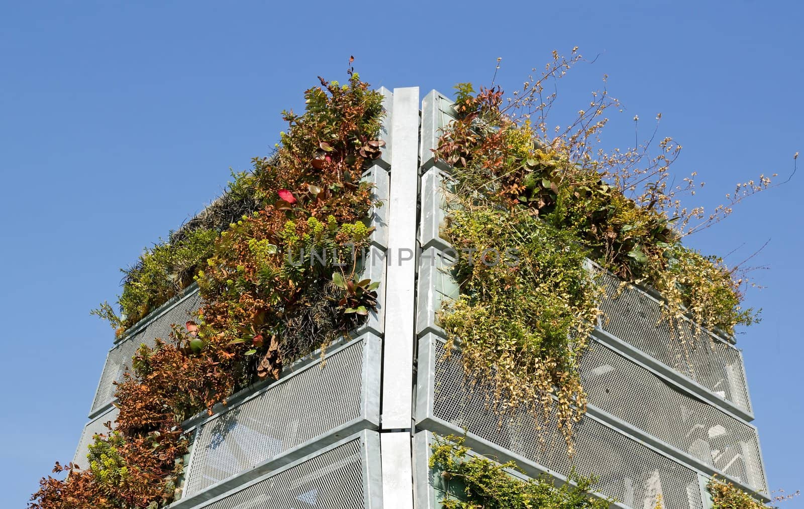 green wall of steel plate, urban art plant