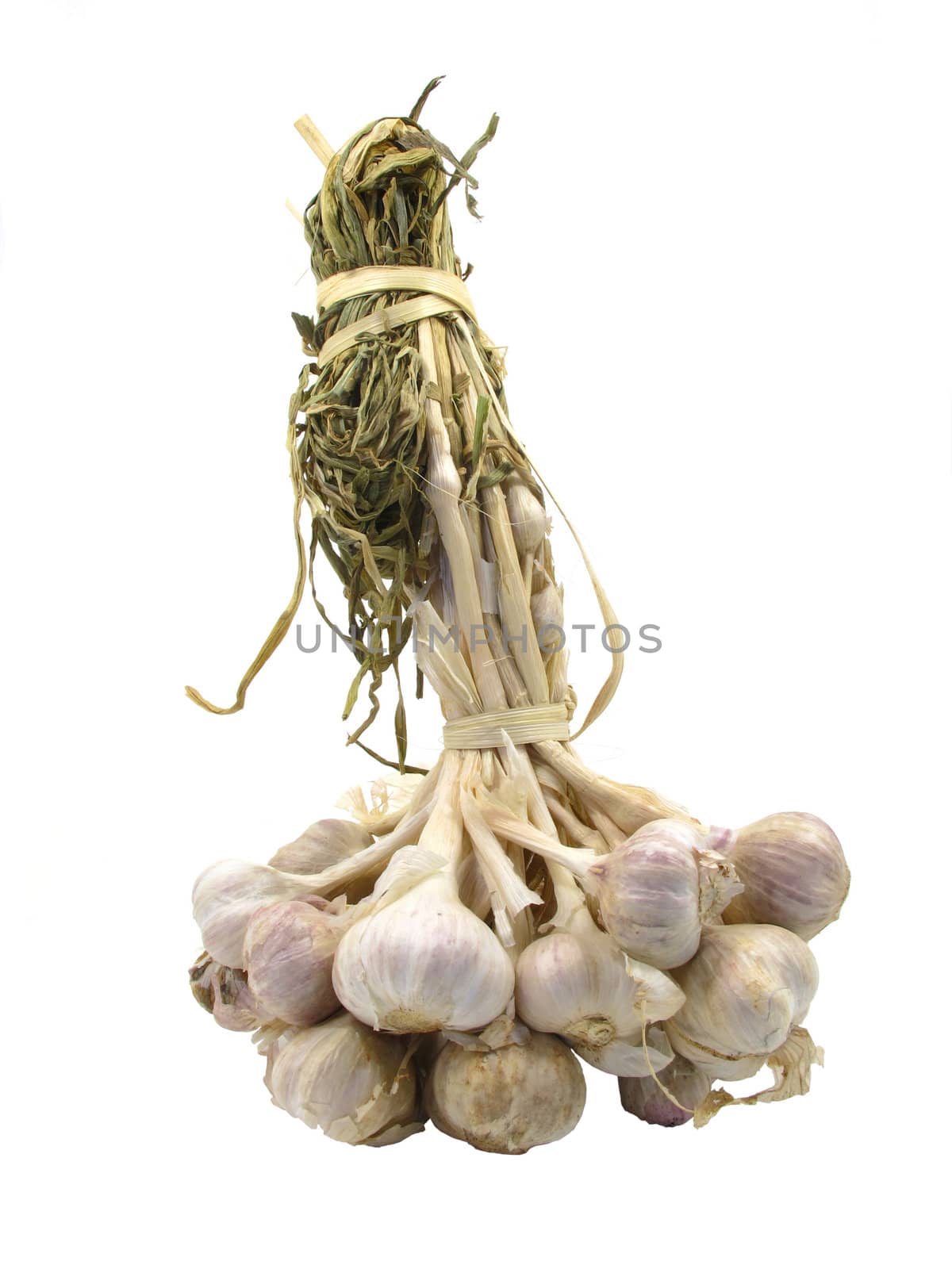 Bunch of garlic on white background with clipping path