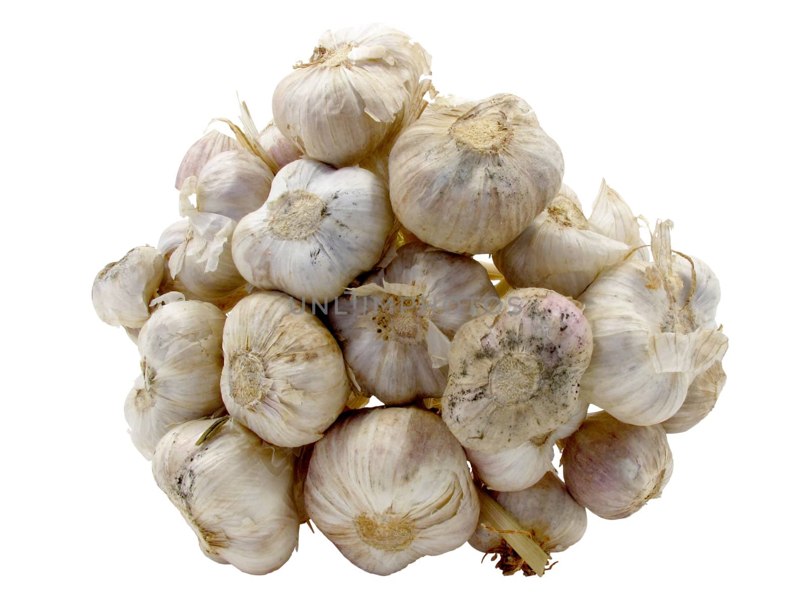 Under bunch of garlic on white background with clipping path