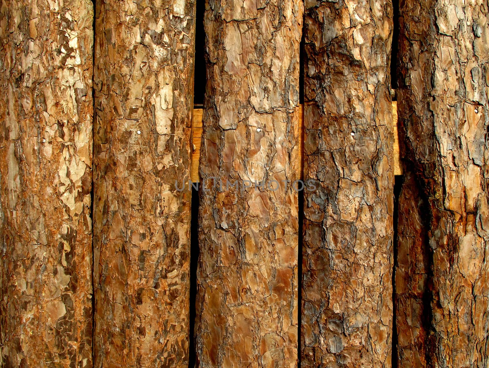 Wood wall from old log in rural area