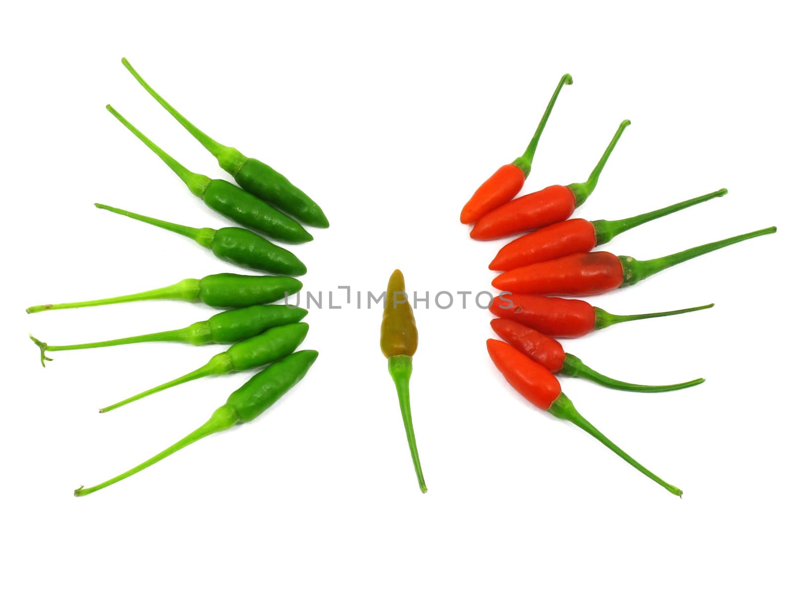 Red and green chilli peppers by iampuay