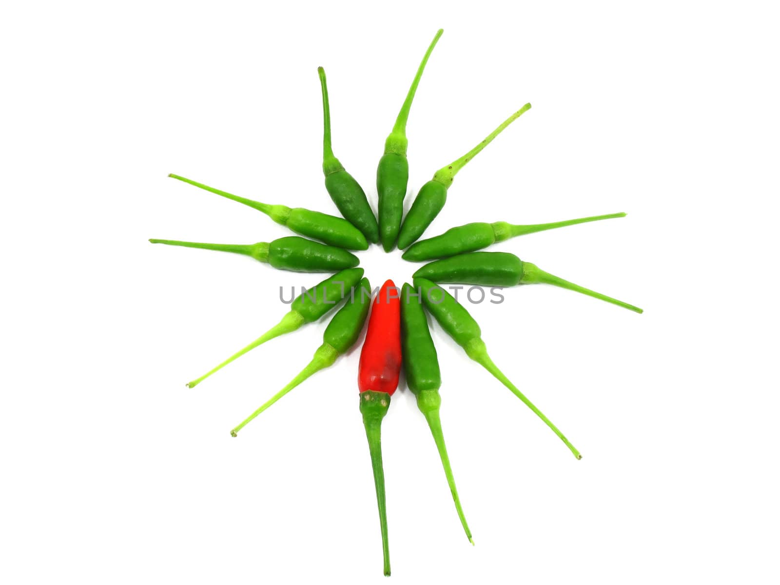 Green chilli pepper in circle with one is red on white background