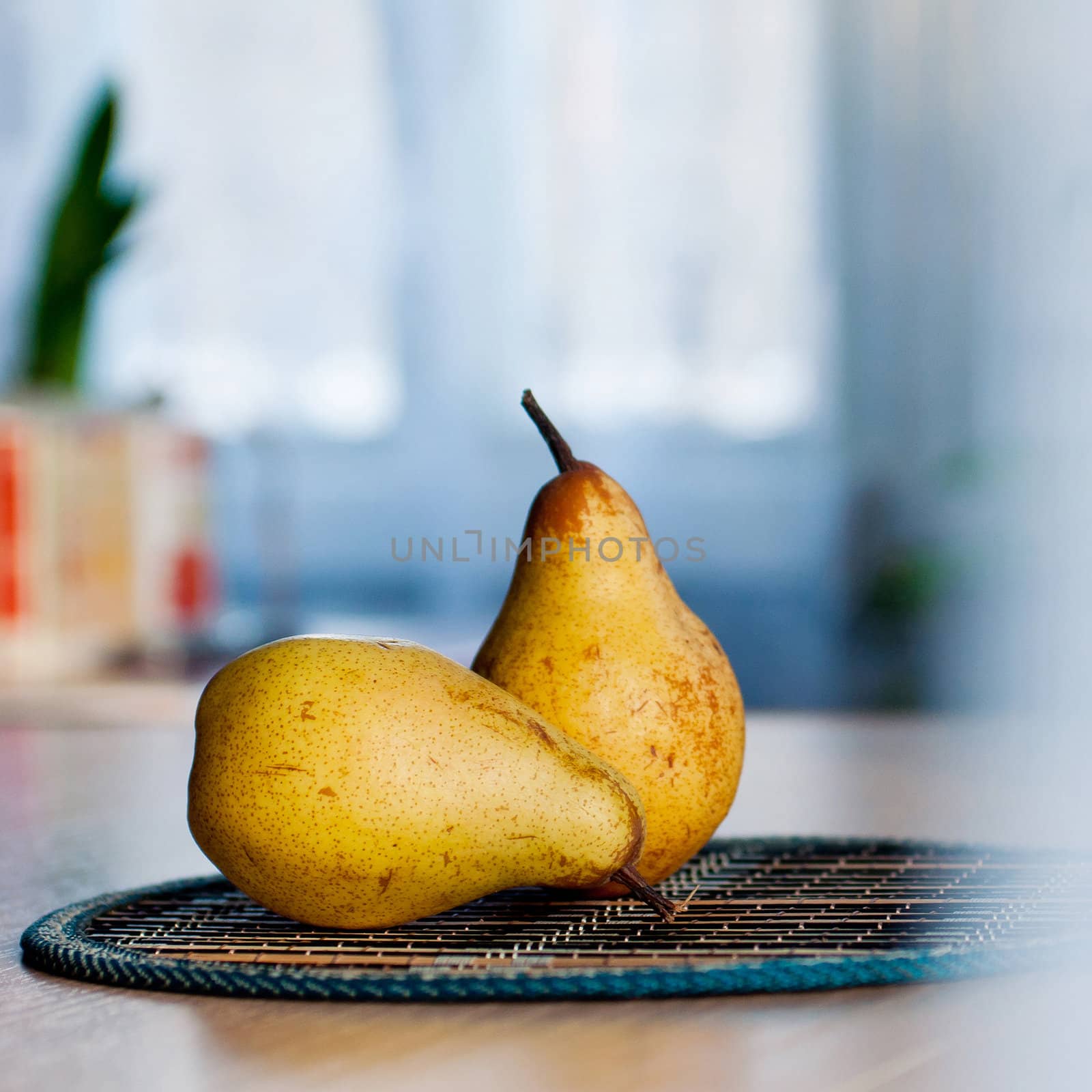 Two natural pears on the table to the breakfast.