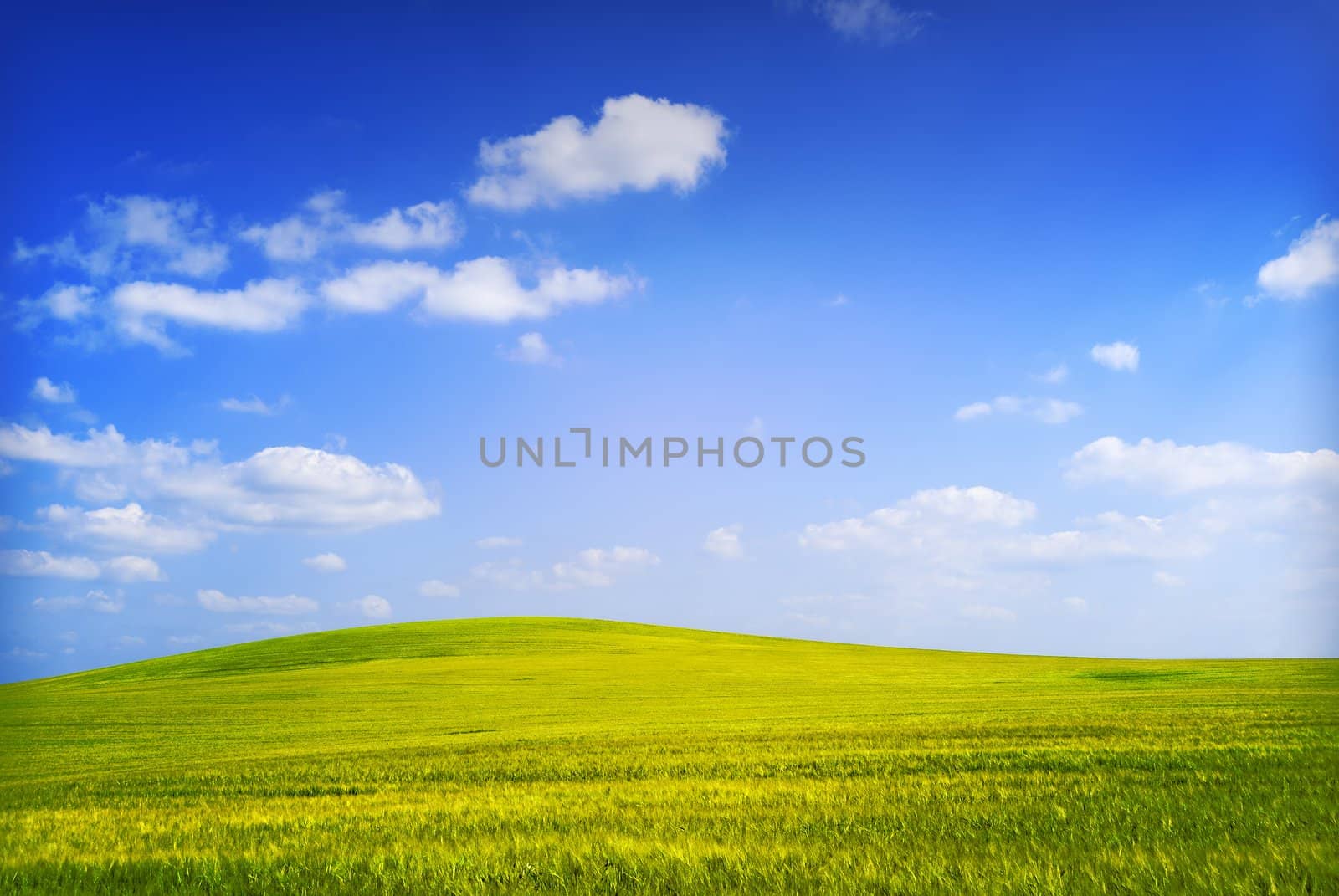 a countryside landscape