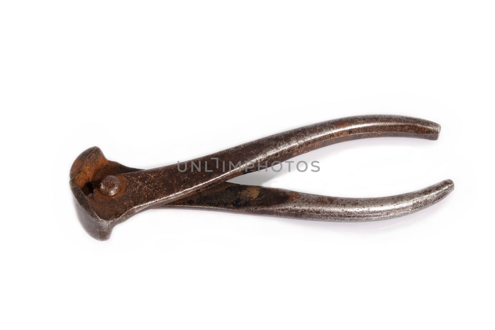 Old rusty nippers on white background