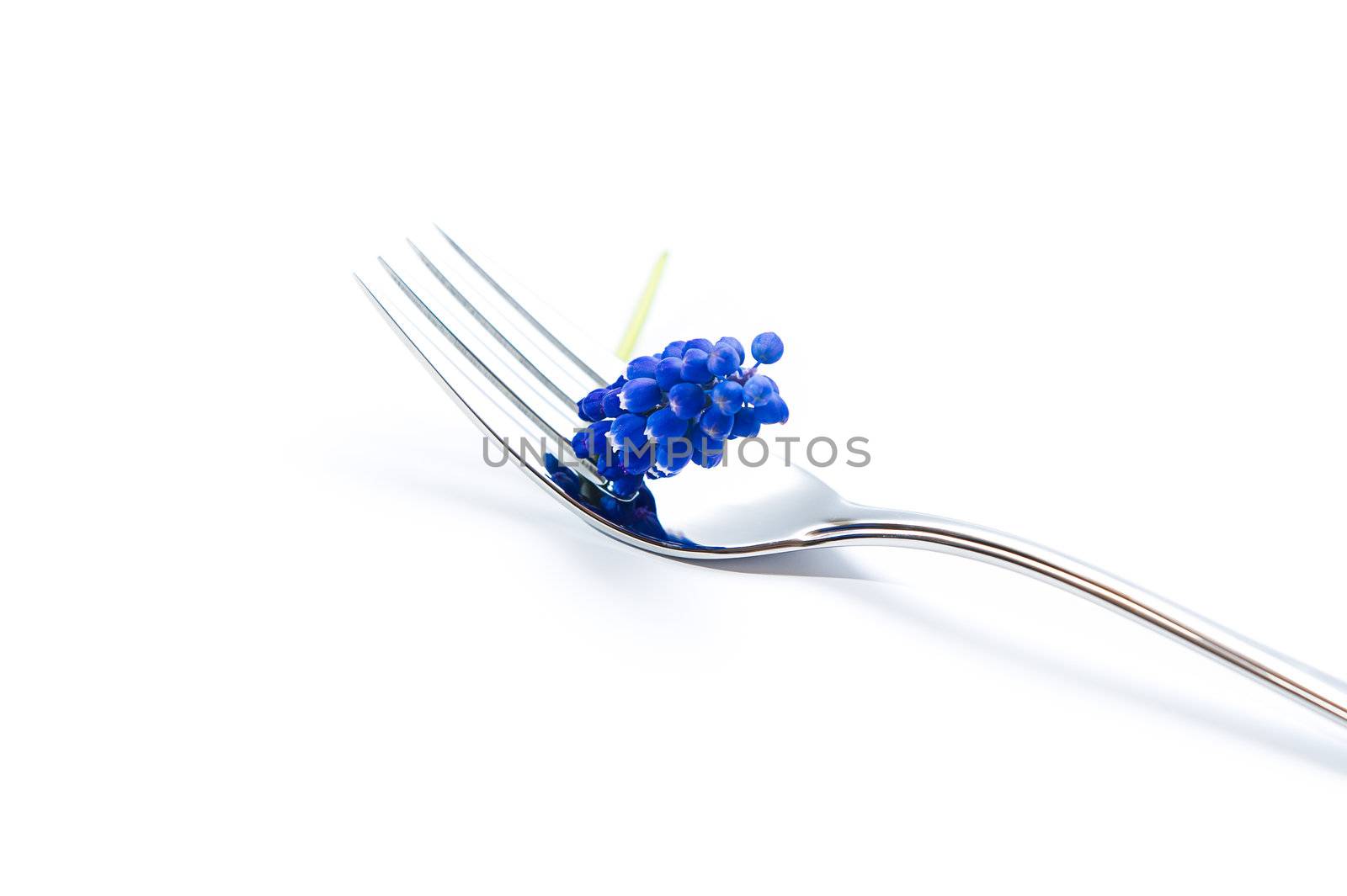 Fork with blue lavender decoration. Clean and elegant. Copy-space