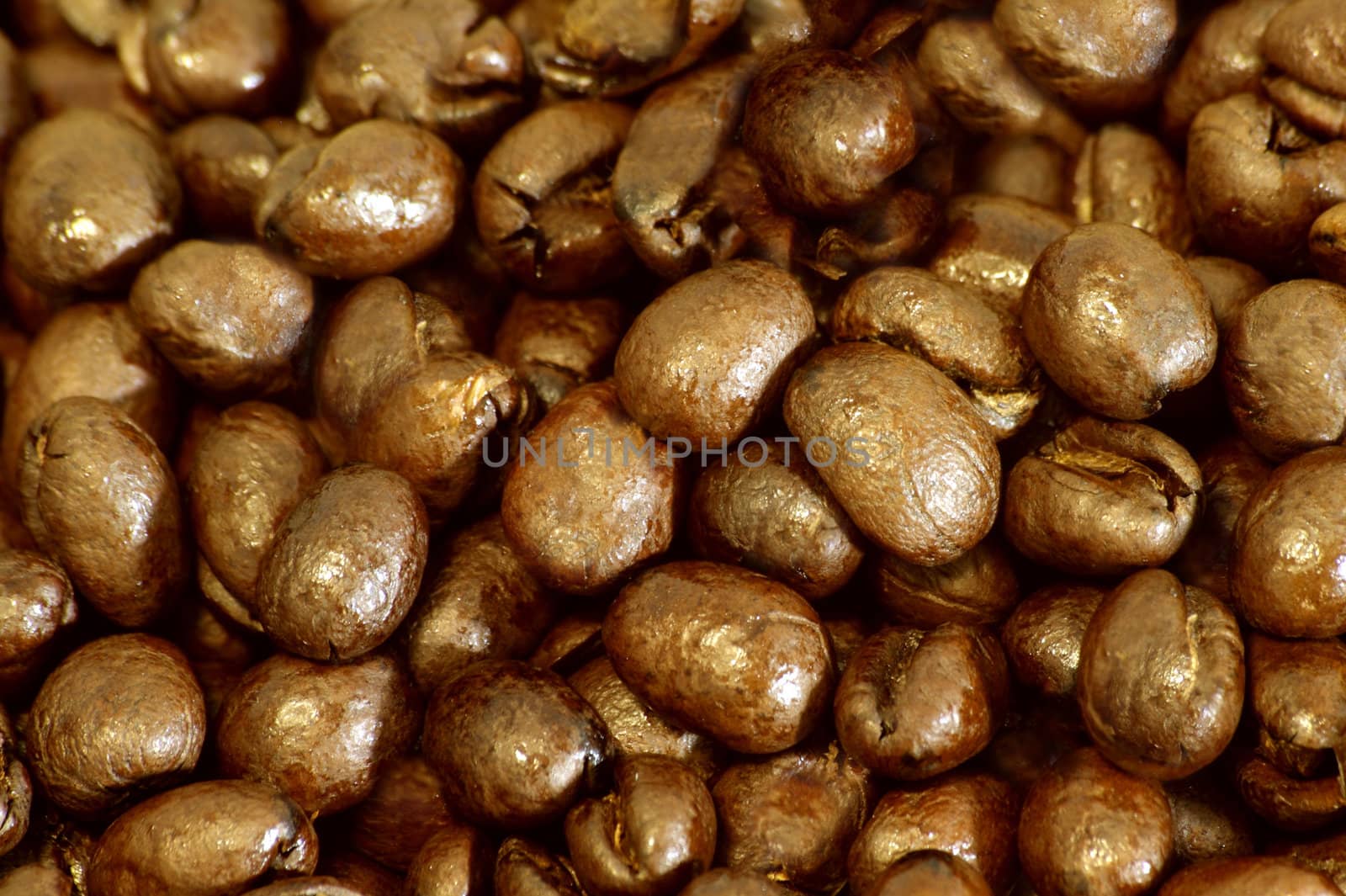 Close up photo from coffee beans