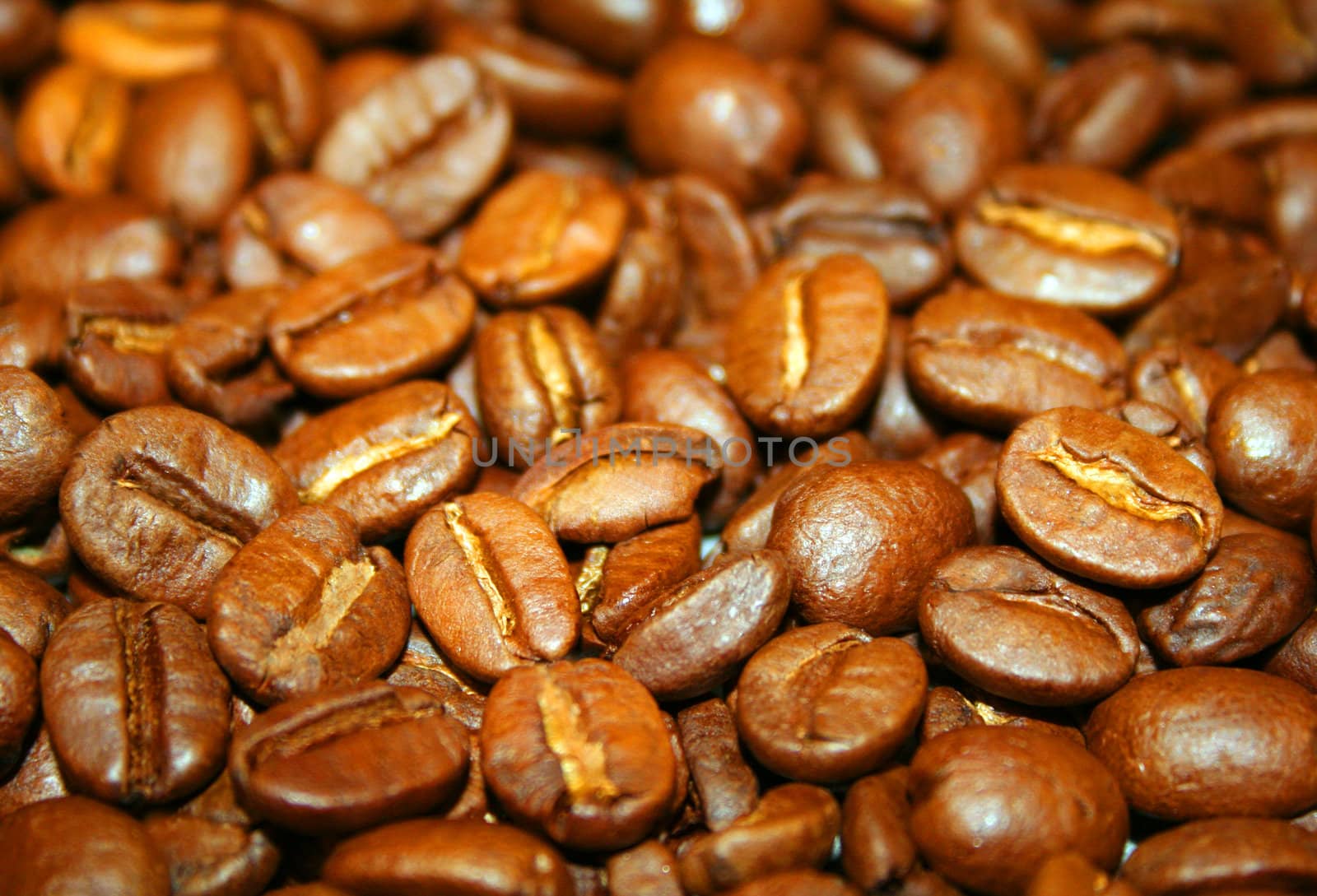 coffee beans background by microolga