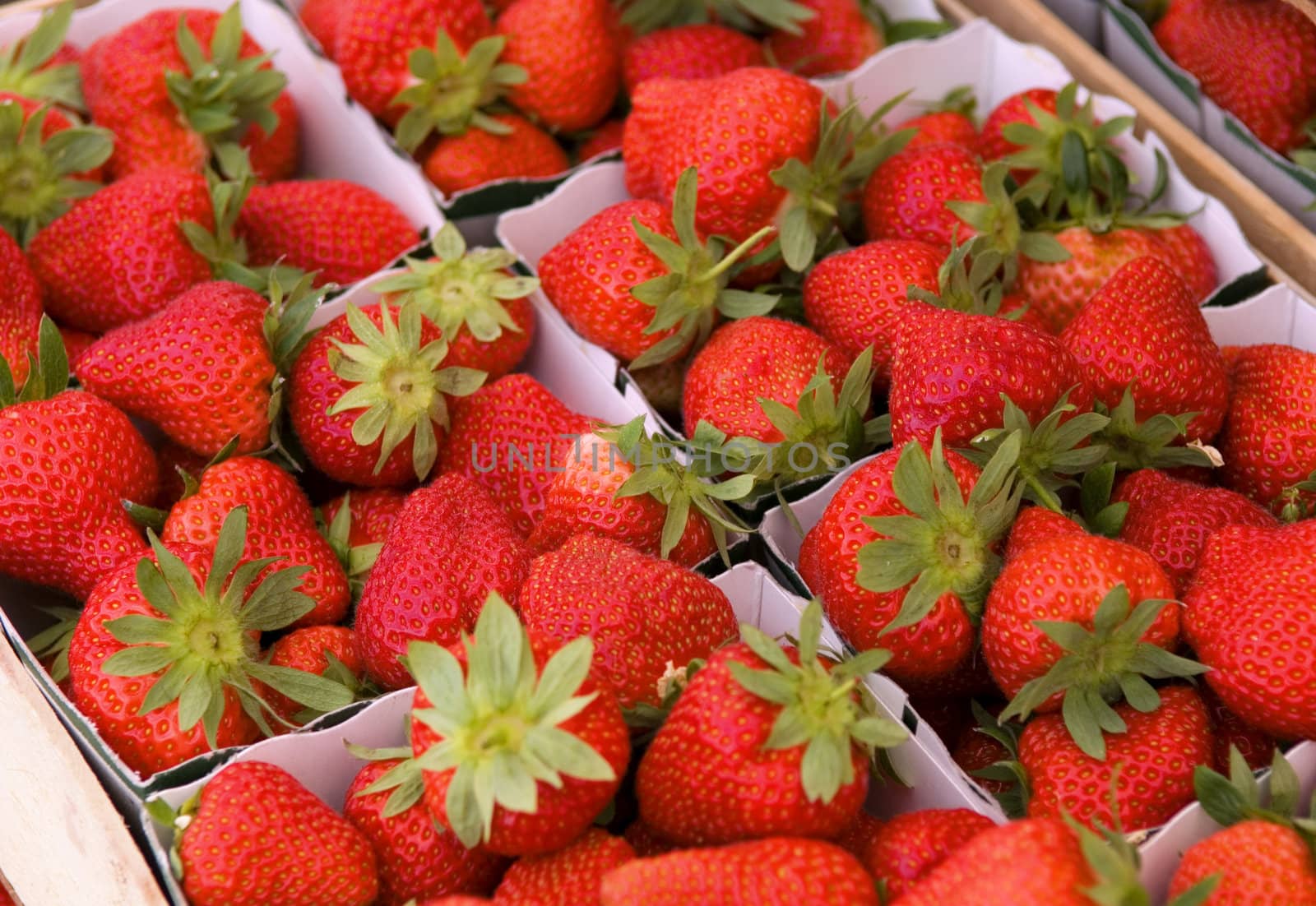 fresh strawberry  by microolga
