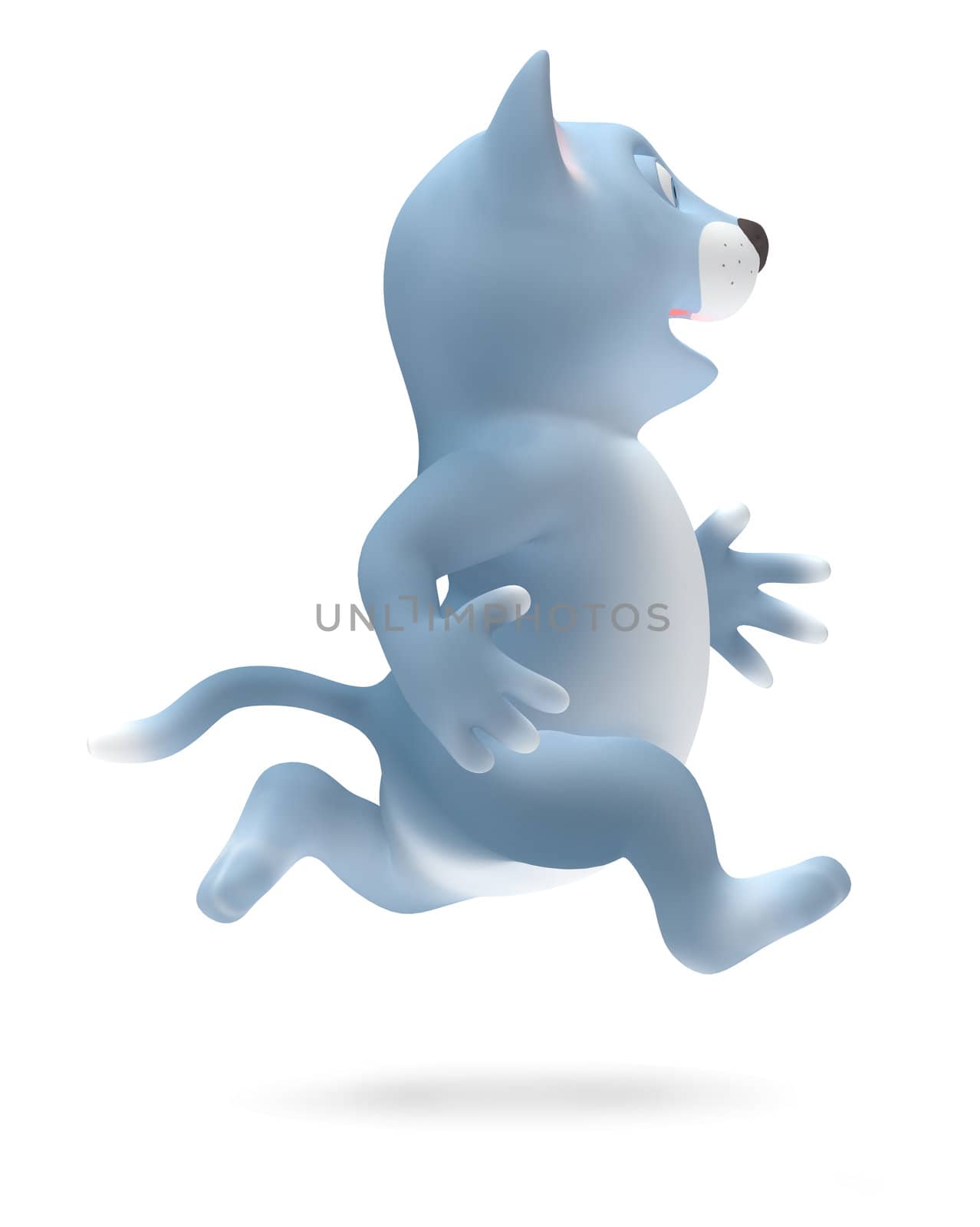 Cat is running isolated on white background