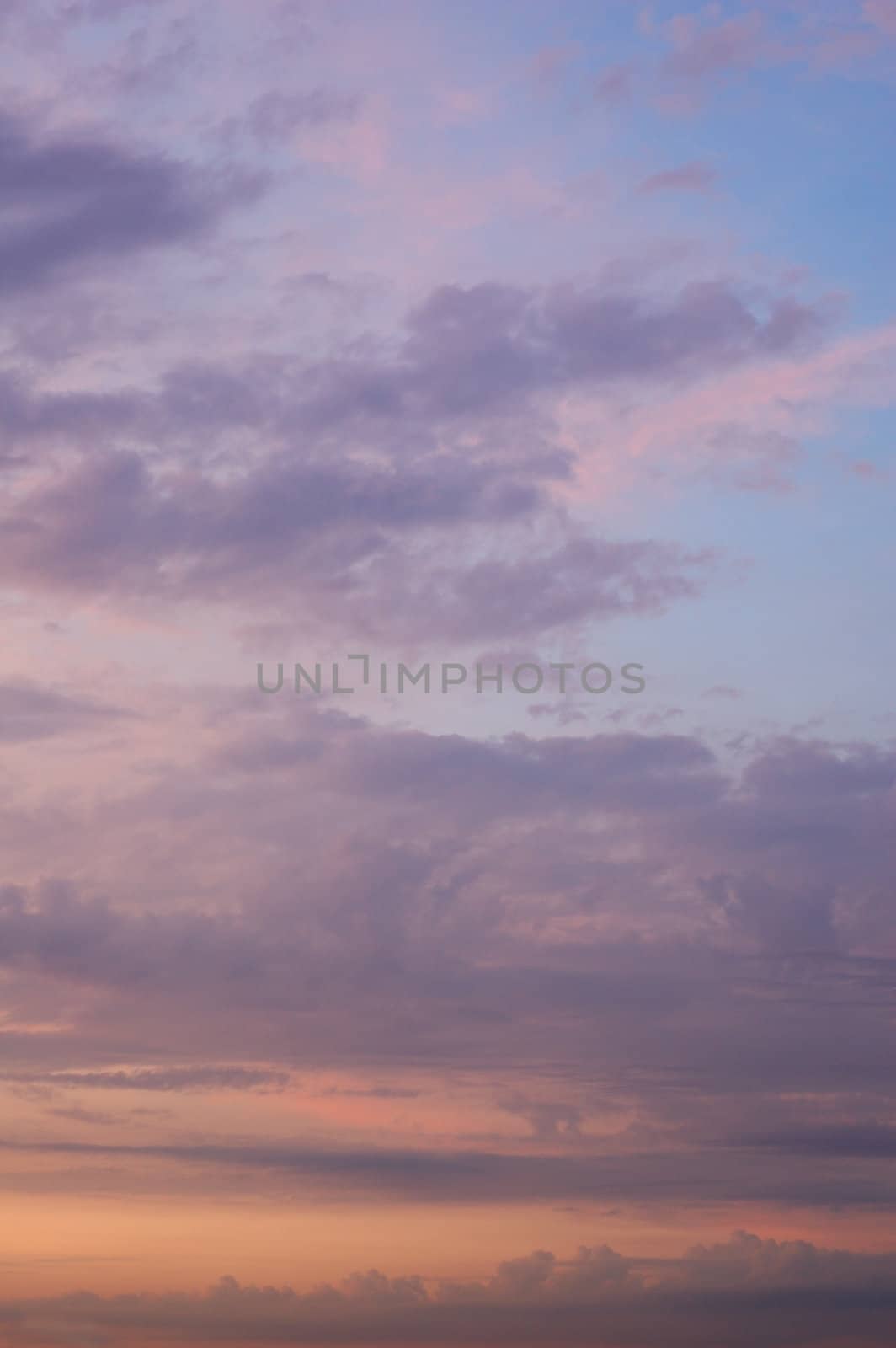 Vertical photo of Evening lilac sky