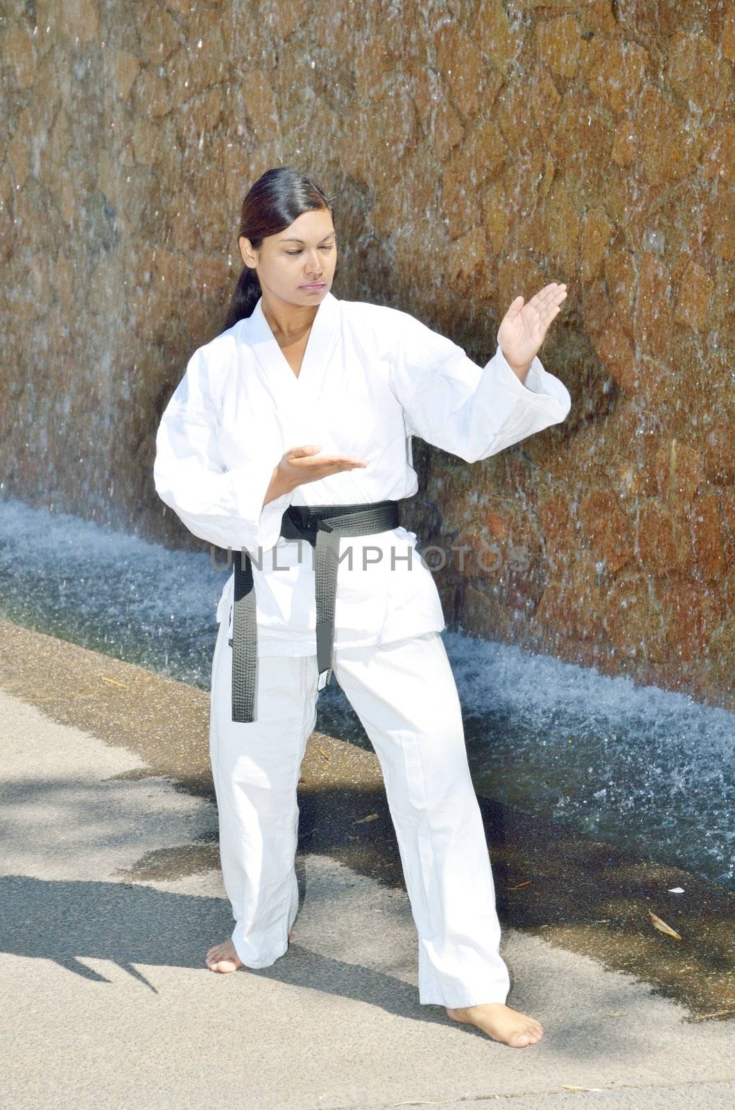 Karate stance by ianmck
