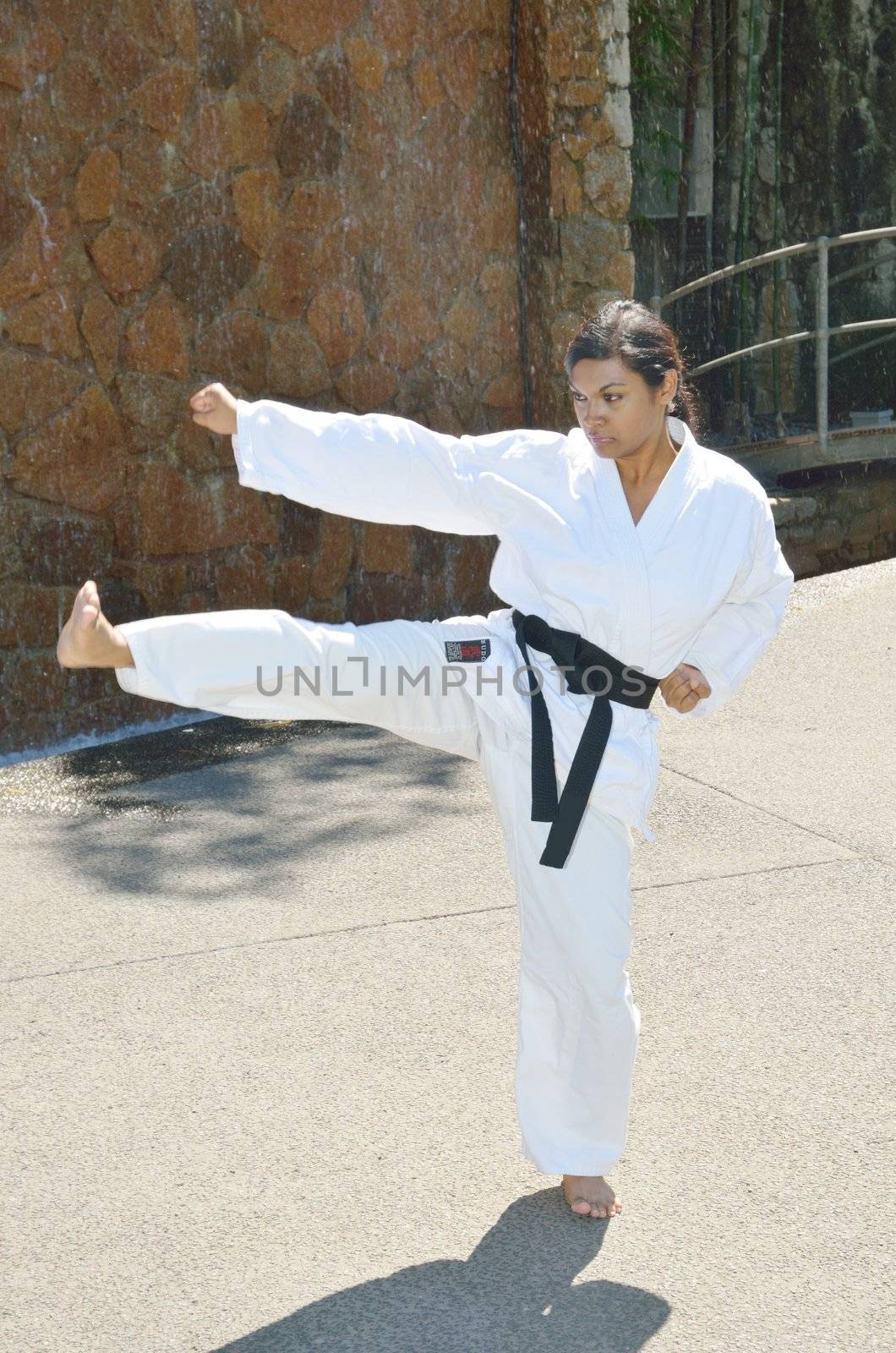 Female Karate champion showing various karate moves in the park







Female black belt champion karate player demonstrating various karate moves in the park