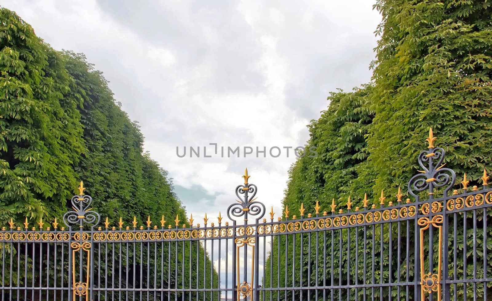 gate Luxembourg Gardens  Paris France