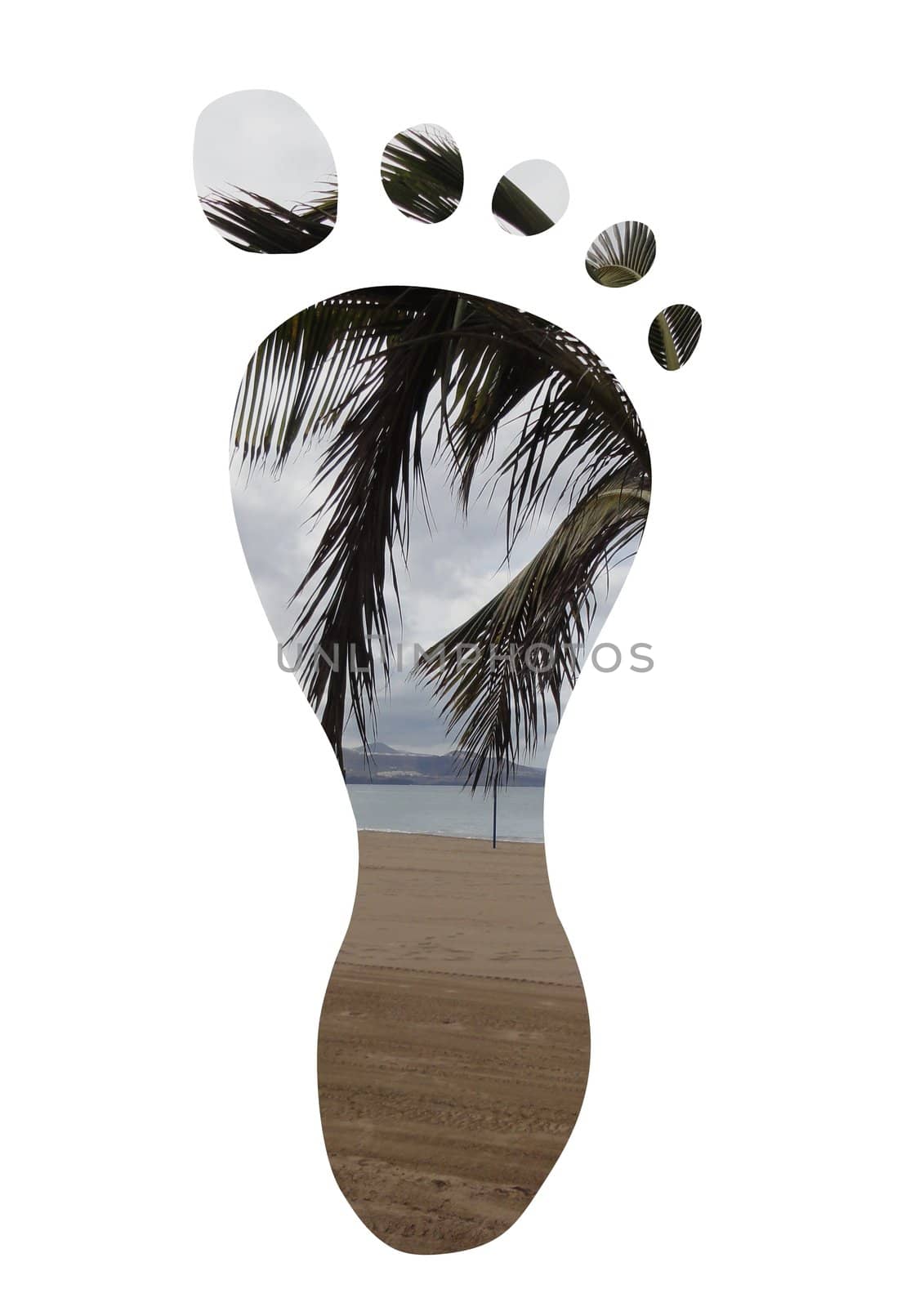 Isolated foot with a palm tree and beach as the texture