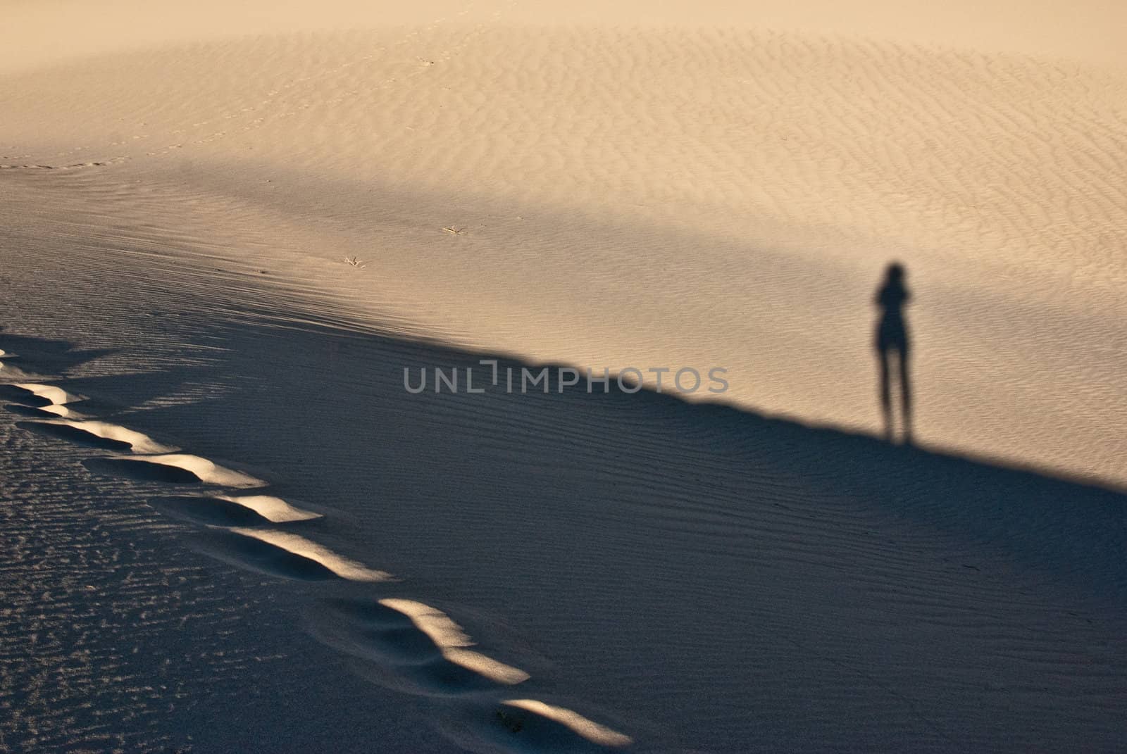 Desert Shadow Play by emattil