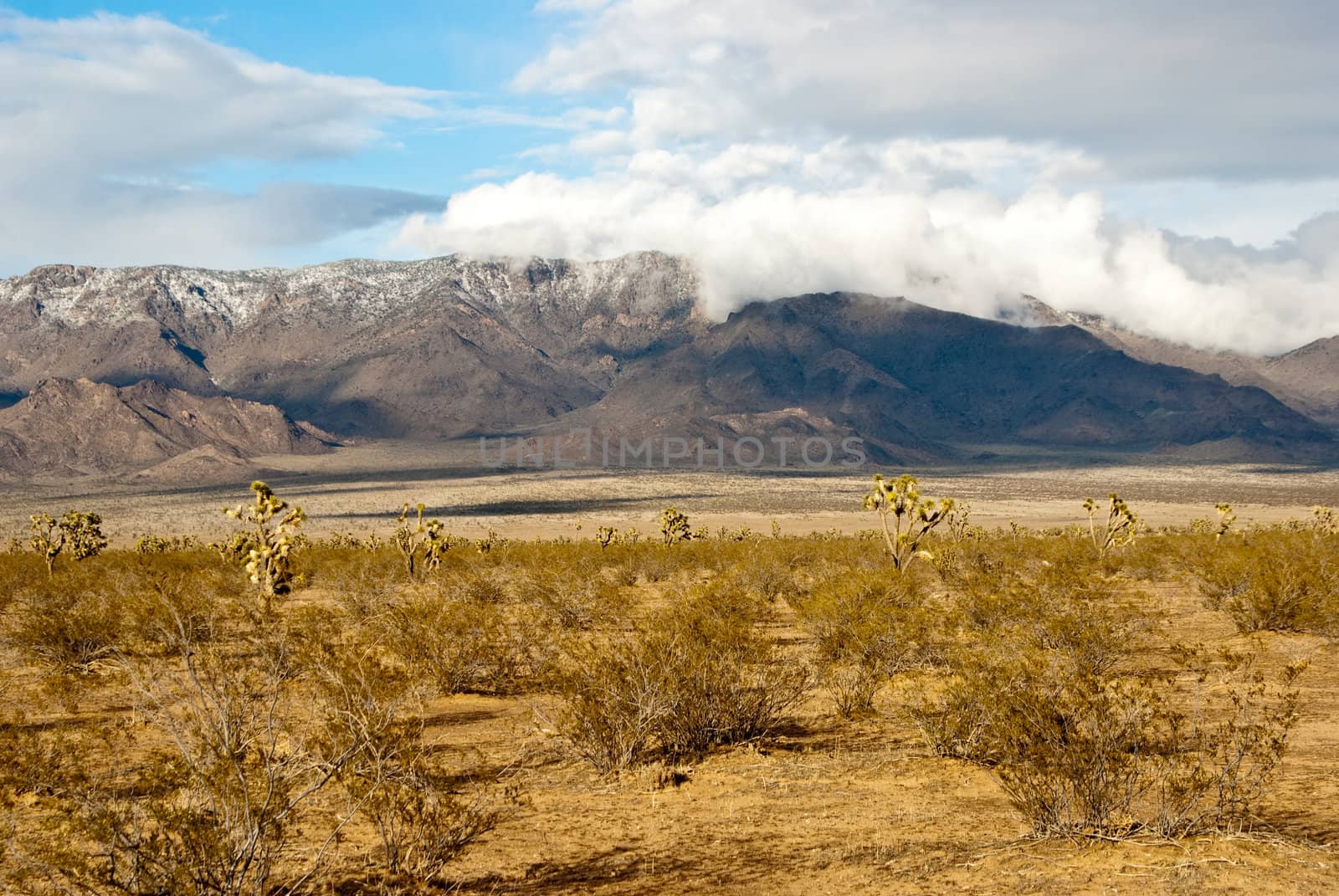 Winter storm over desert landscape