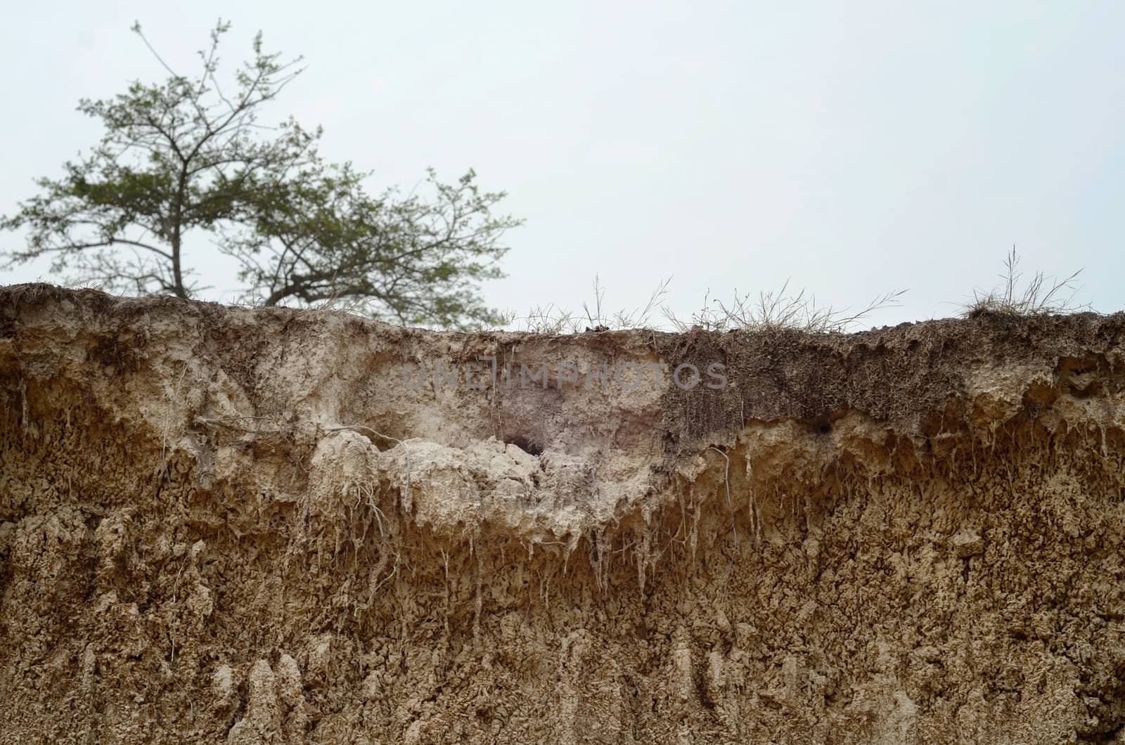 Subsidence and collapse of the ground by nuttakit