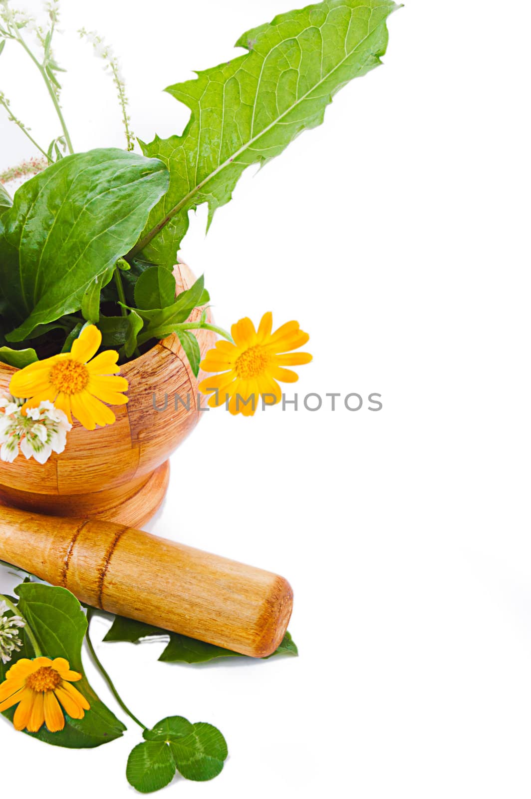 Mortar with herbs and marigolds isolated on white