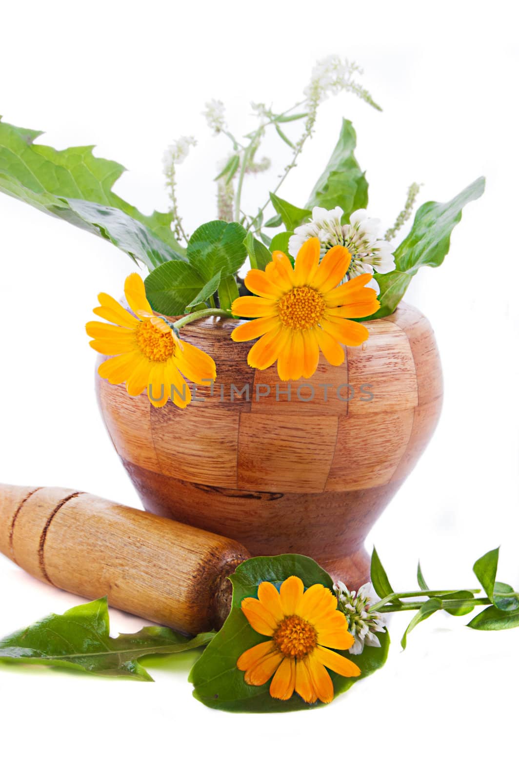 Mortar with herbs and marigolds isolated on white