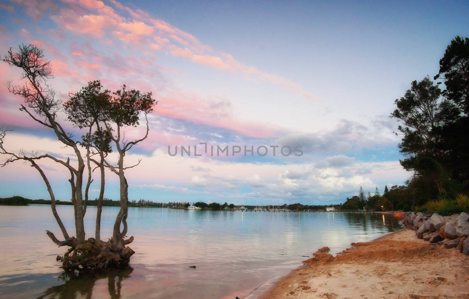 sunset over mangrove tree by clearviewstock