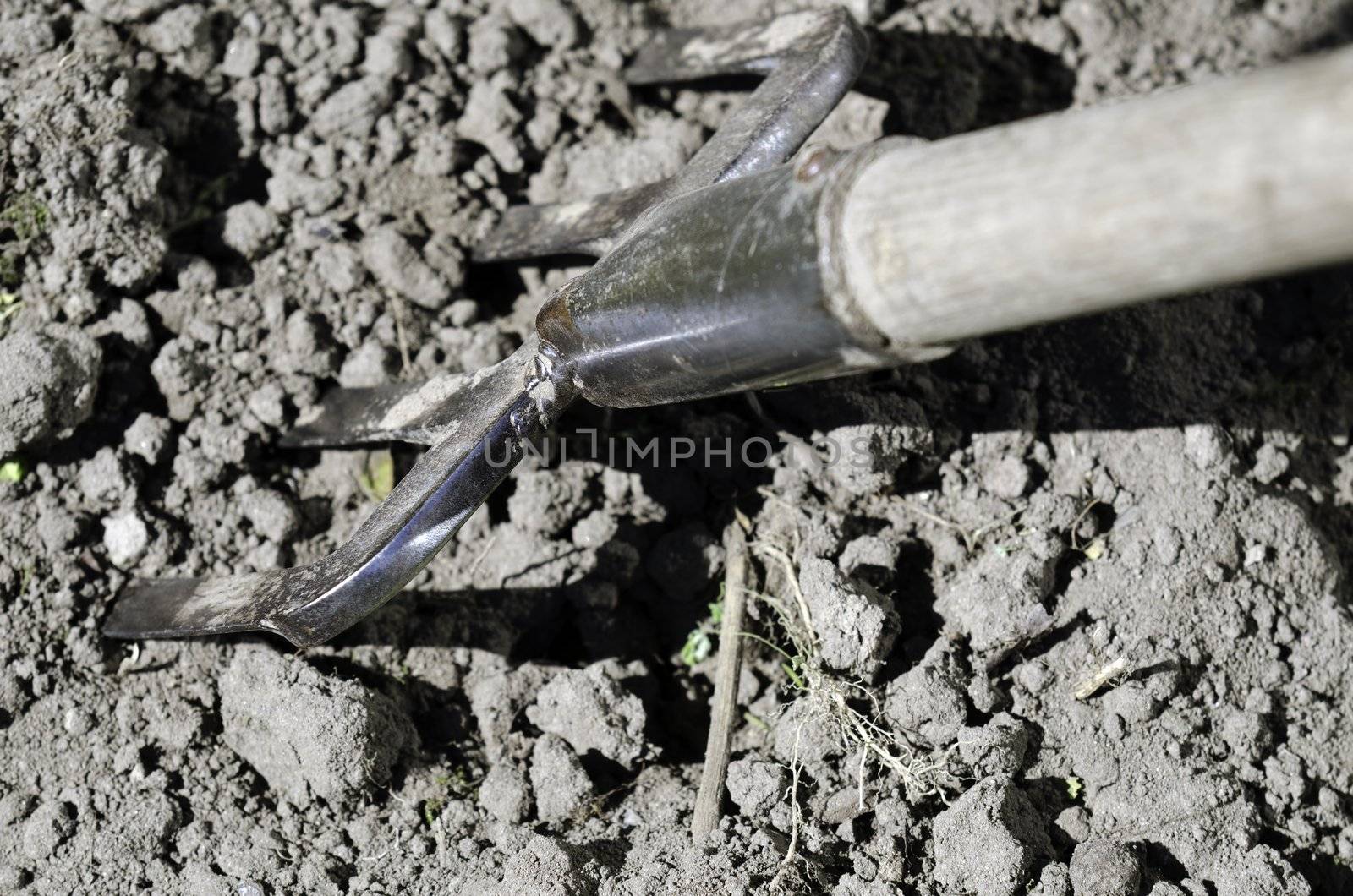 a fork for digging in the garden