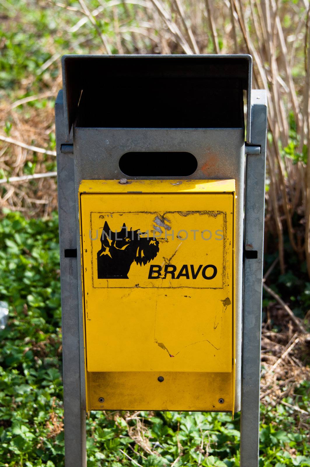 Dog waste station in the park in bright spring sun