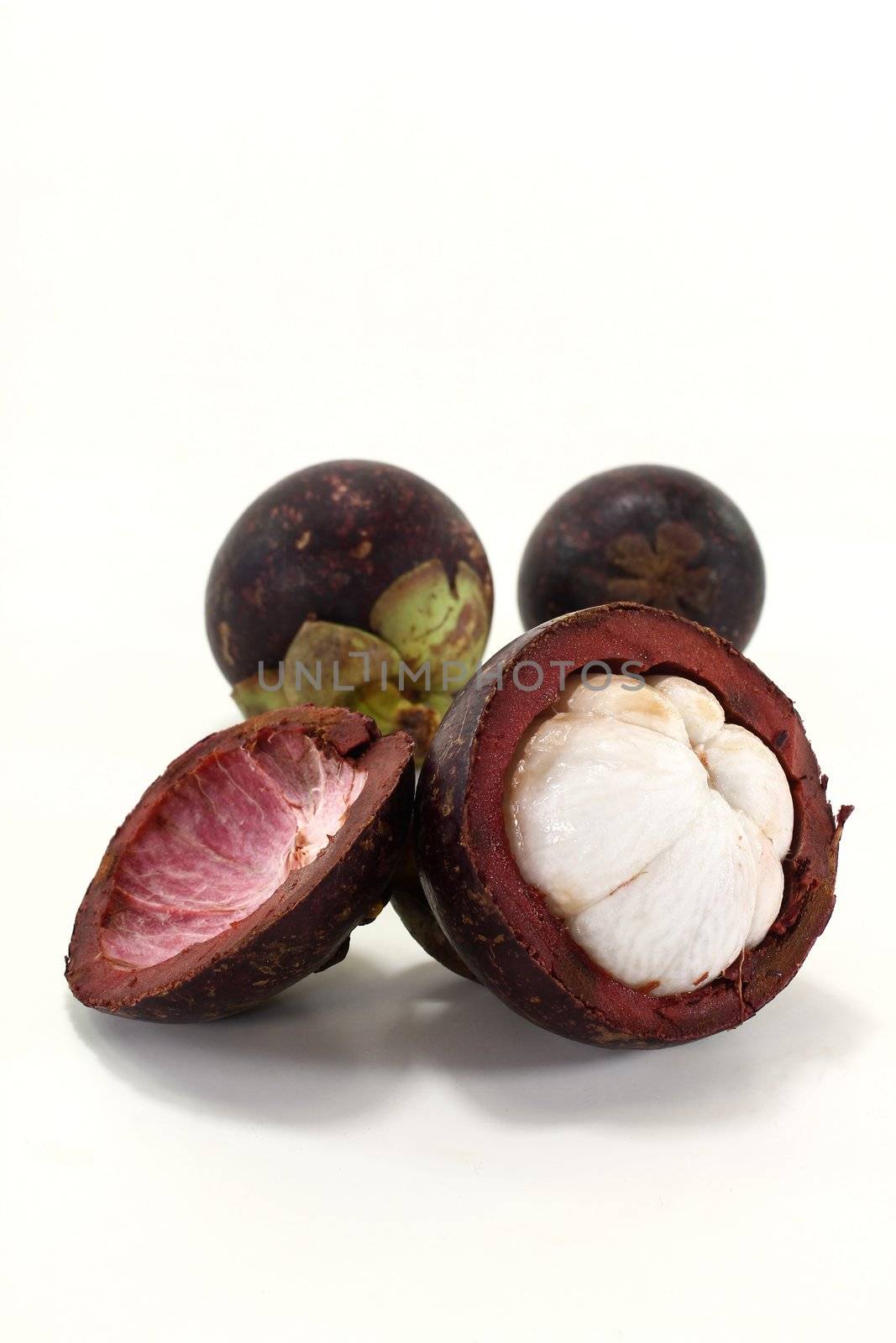 fresh cut Mangosteen by discovery