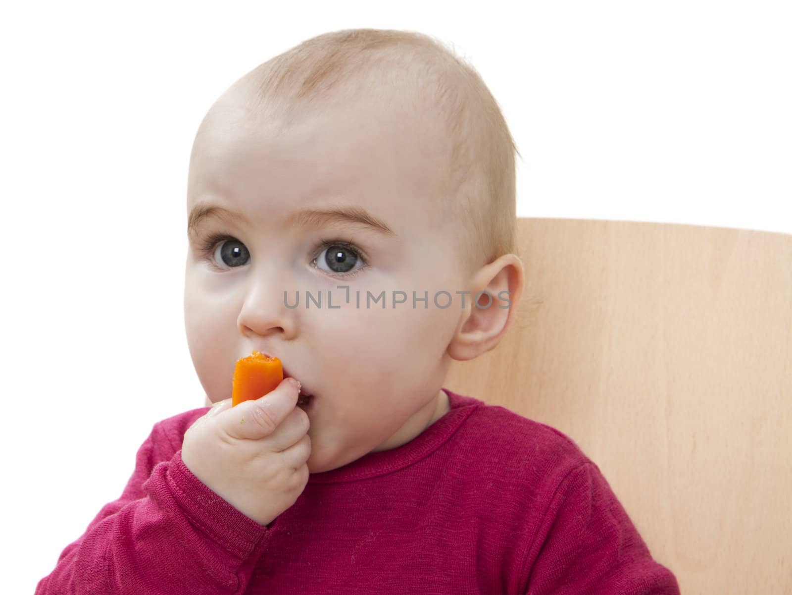 child in red shirt eating. white background