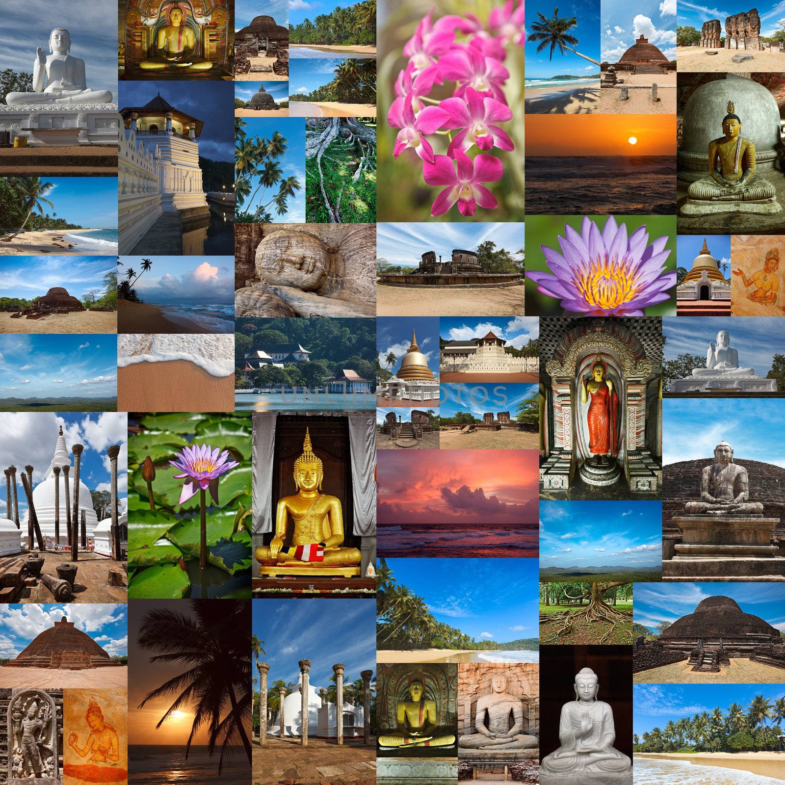 Collage of Sri Lanka images  by dimol